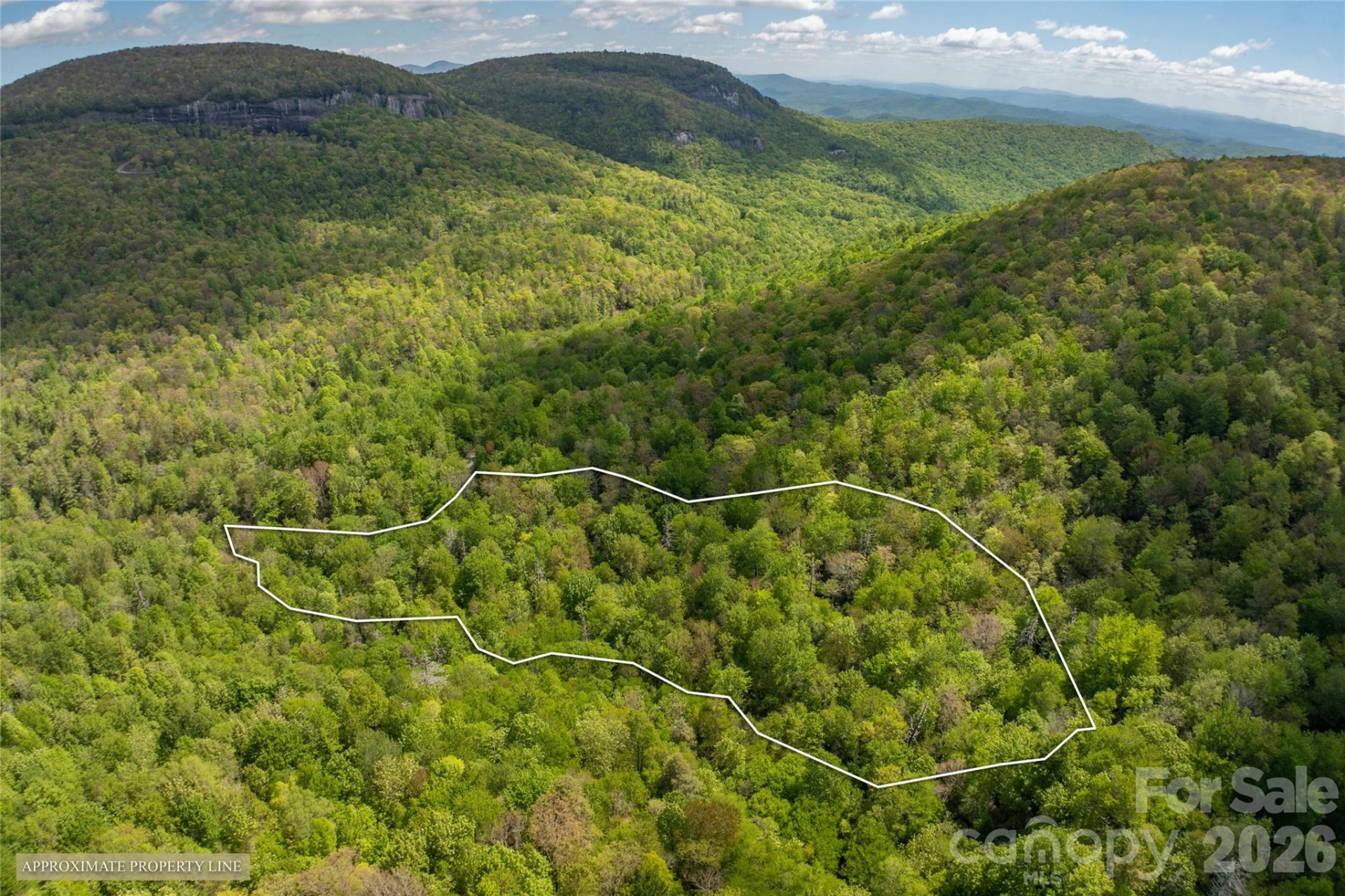 River Camp Long Ridge Road - Photo 2