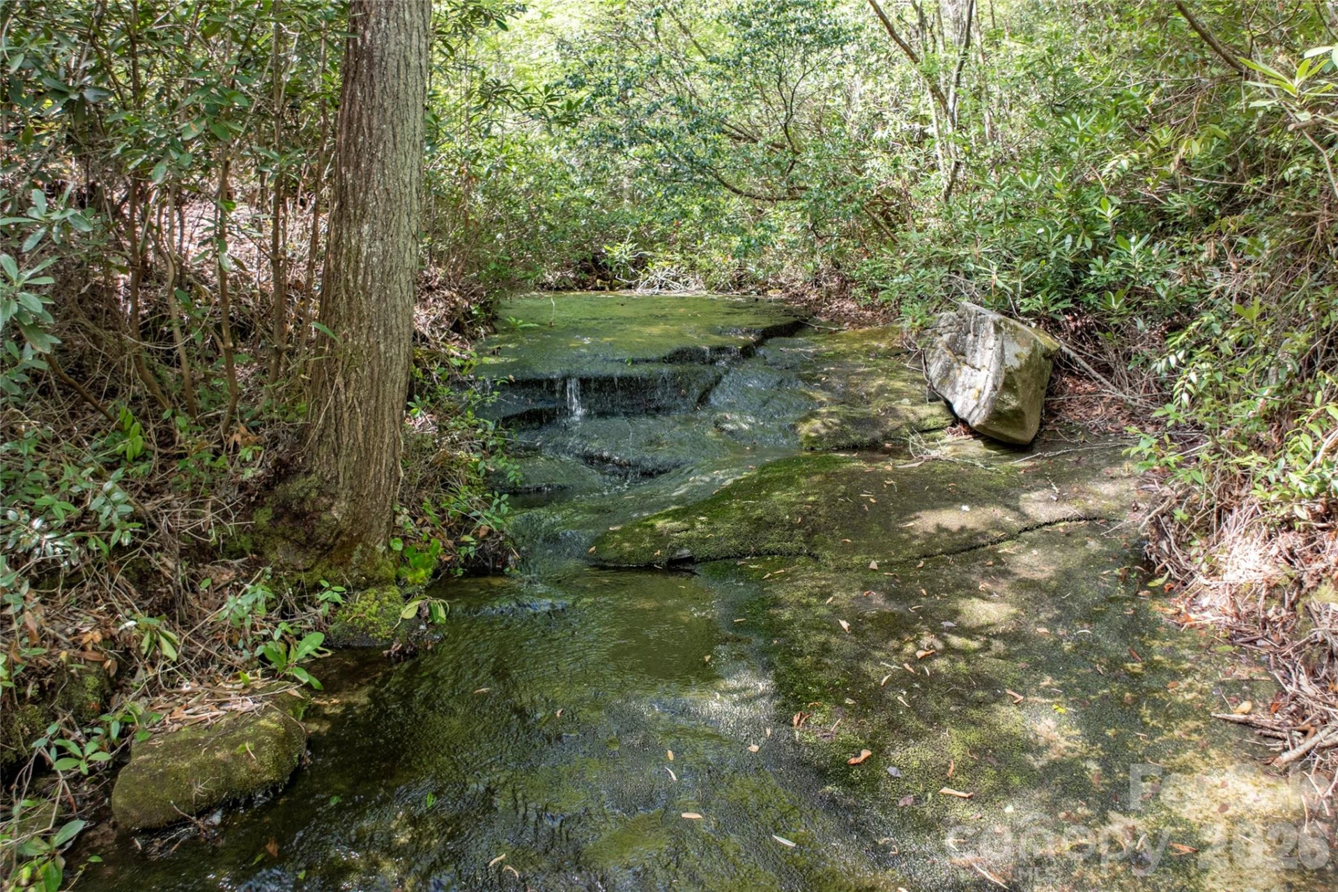River Camp Long Ridge Road - Photo 11