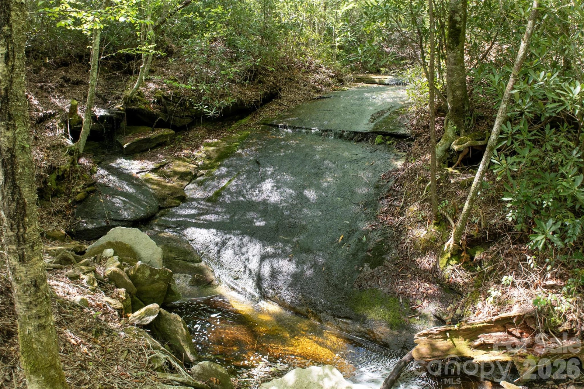 River Camp Long Ridge Road - Photo 12