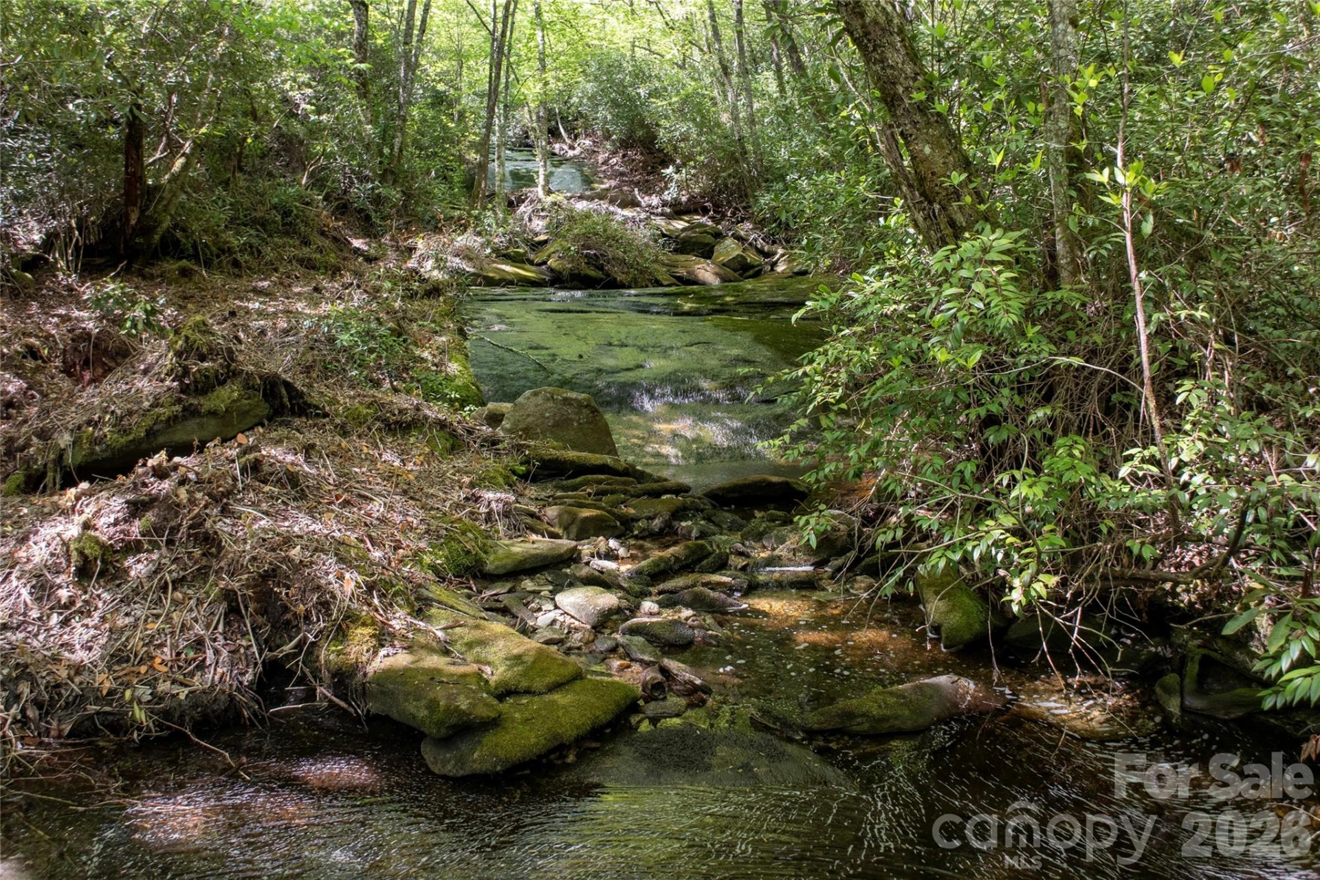 River Camp Long Ridge Road - Photo 13
