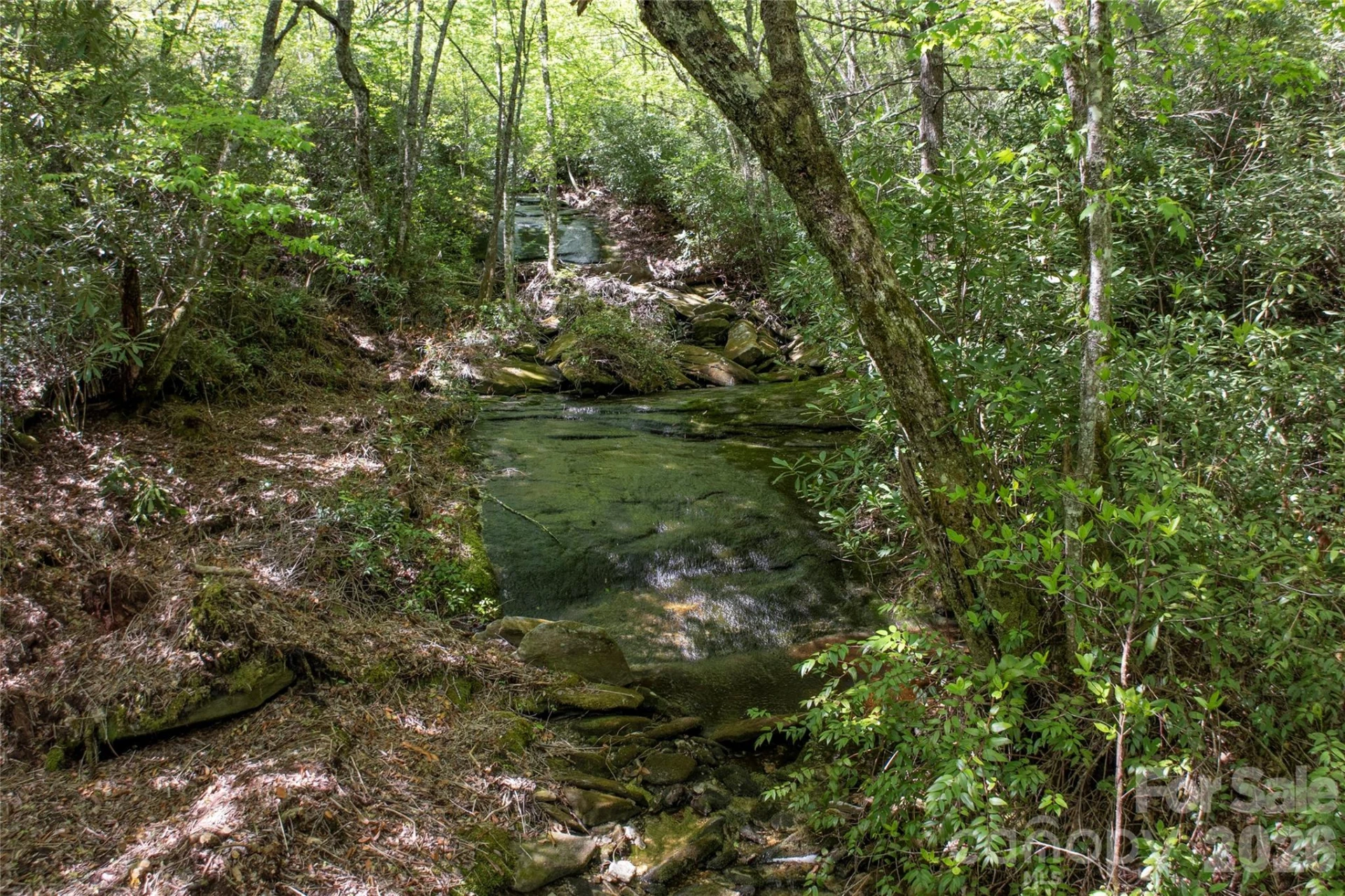 River Camp Long Ridge Road - Photo 14