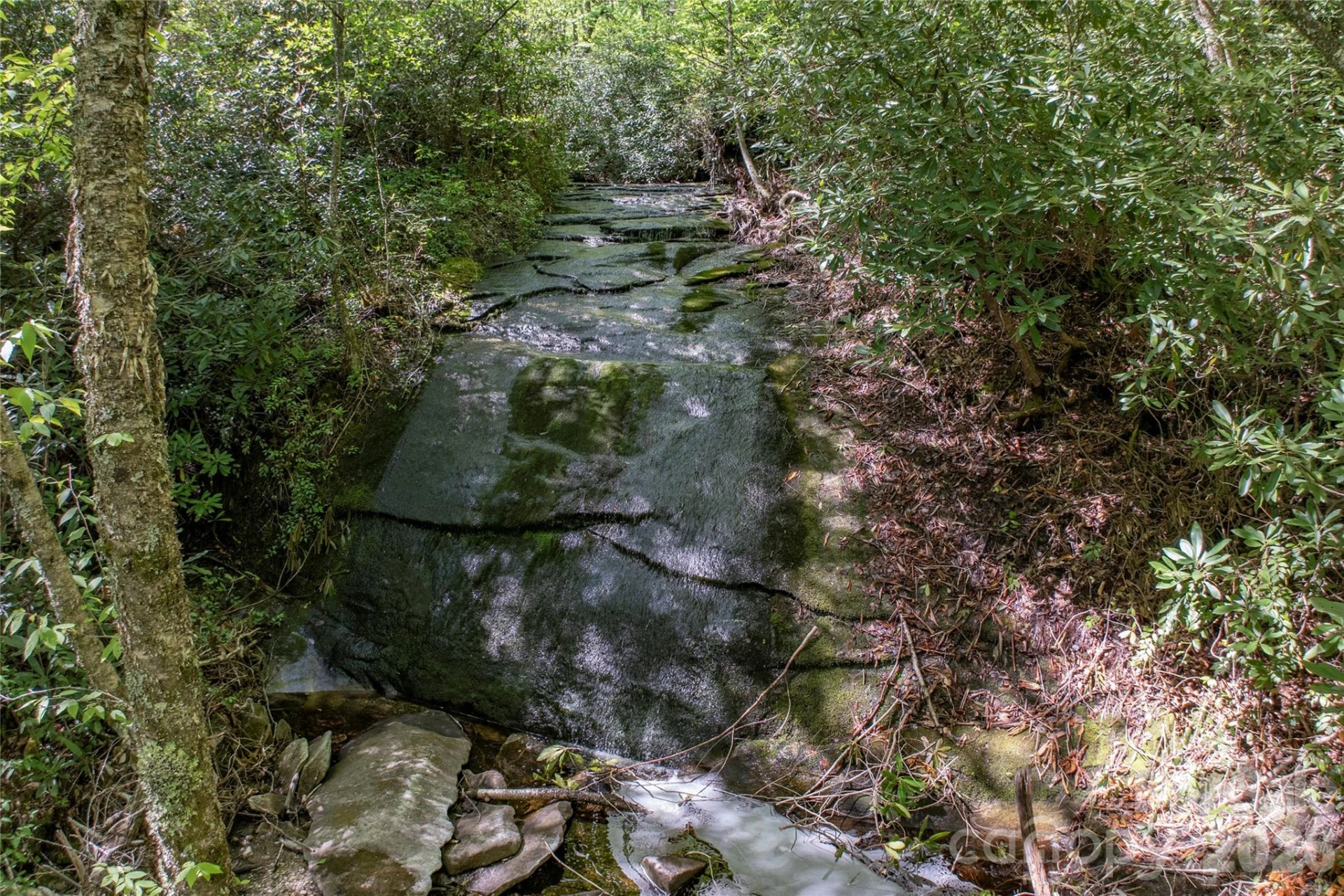 River Camp Long Ridge Road - Photo 15