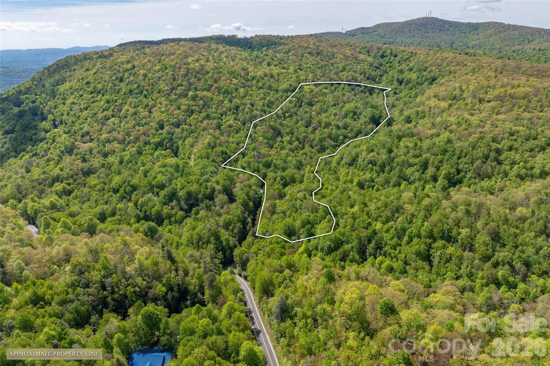 River Camp Long Ridge Road - Photo 16