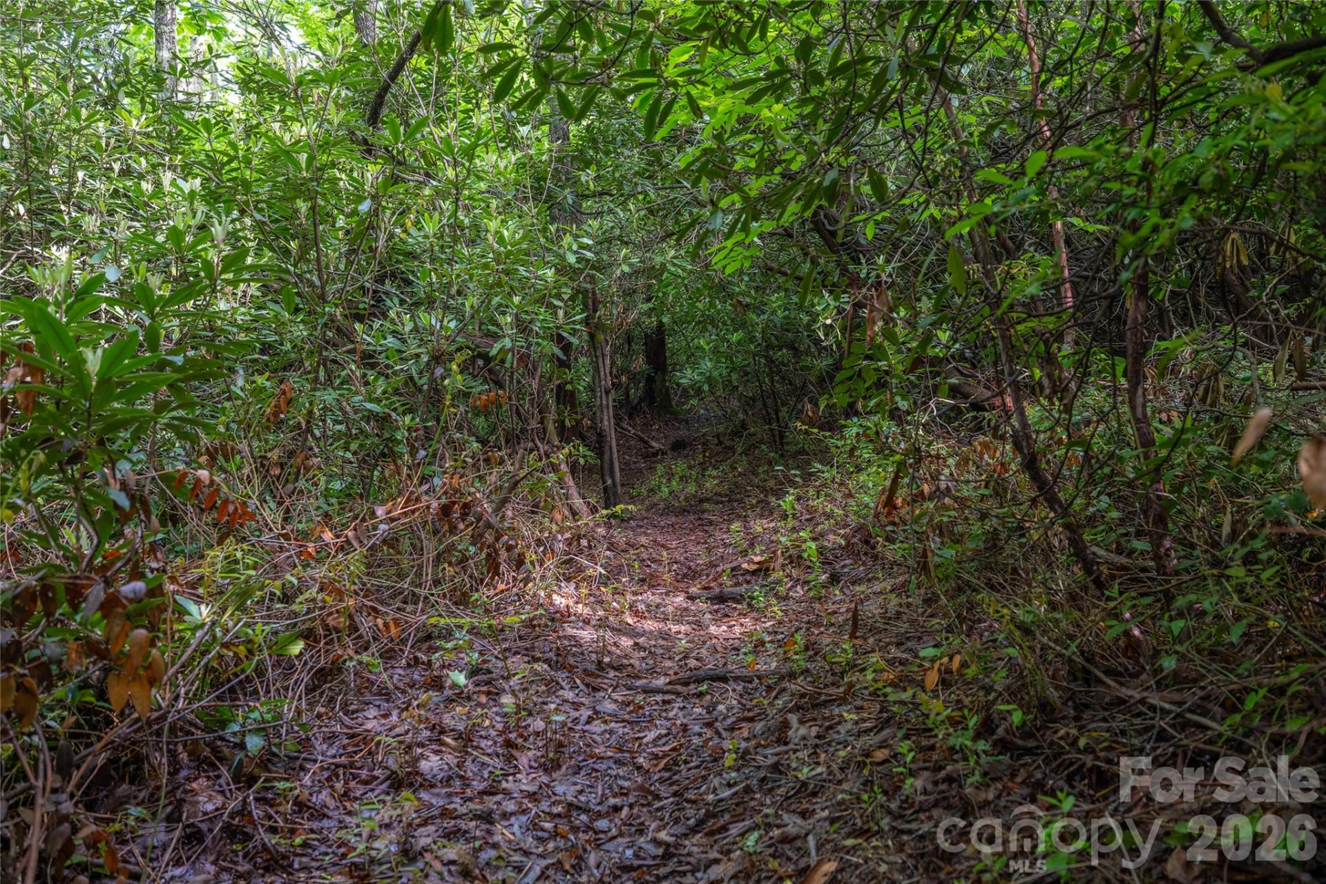 River Camp Long Ridge Road - Photo 17
