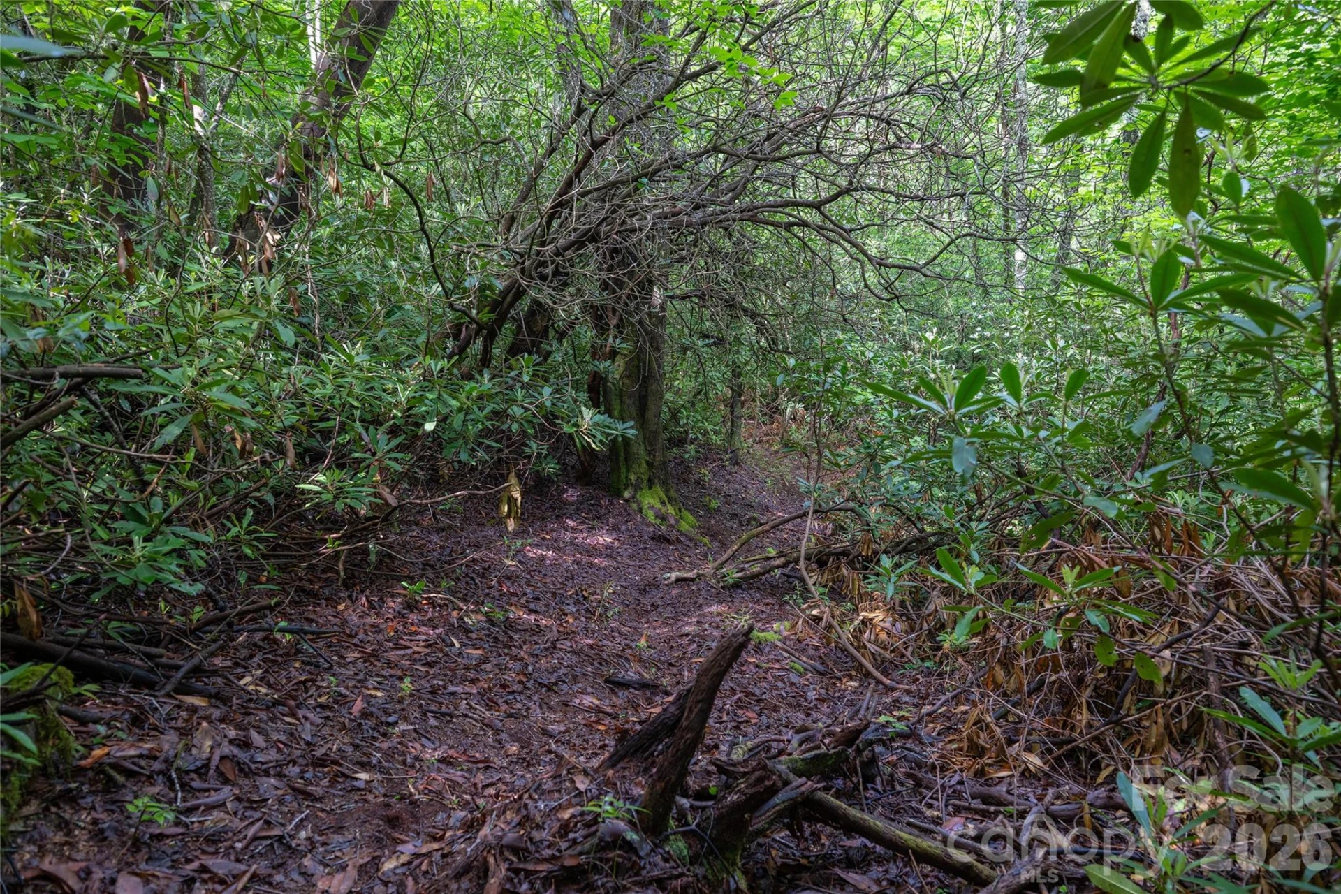 River Camp Long Ridge Road - Photo 18