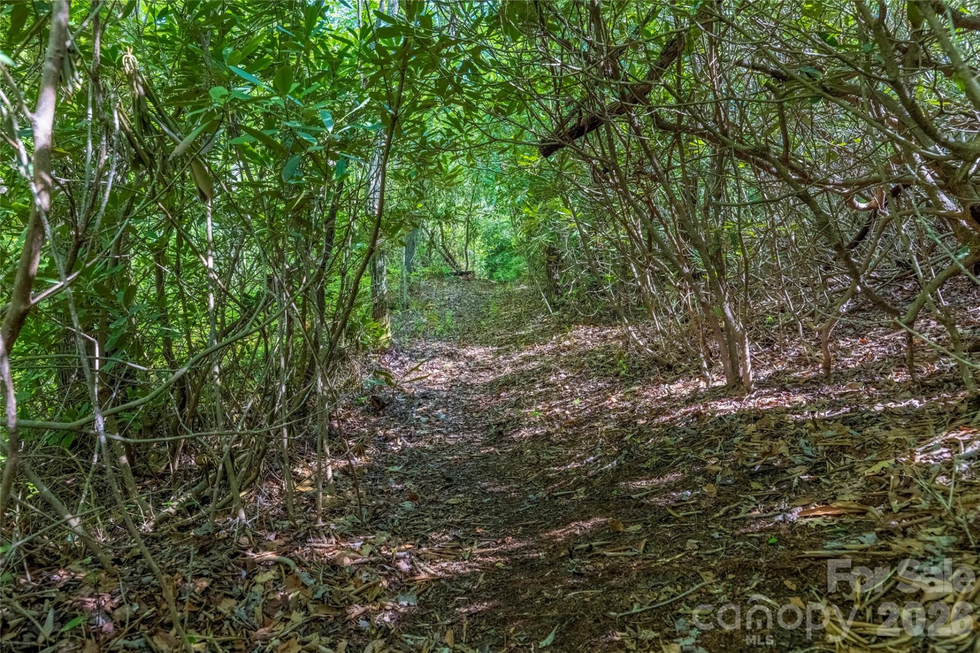 River Camp Long Ridge Road - Photo 3