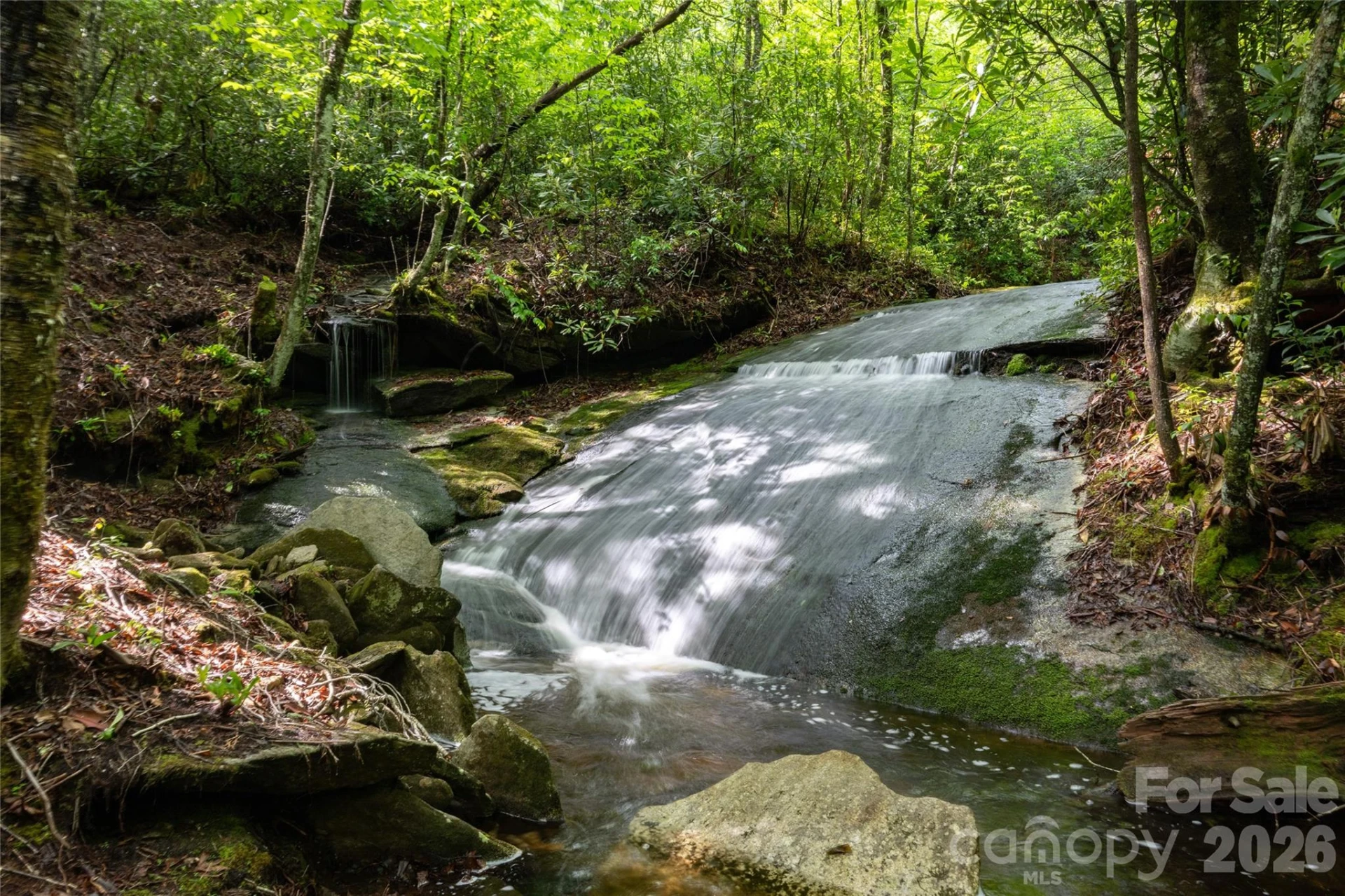 River Camp Long Ridge Road - Photo 21