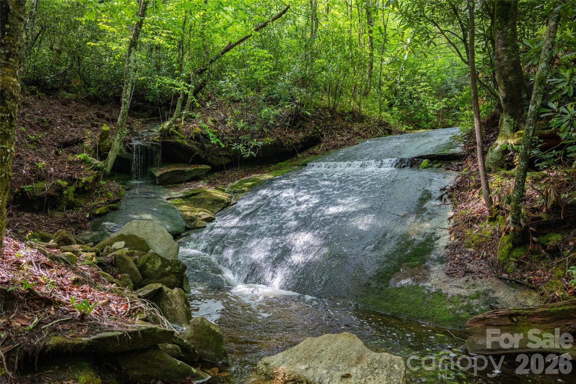 River Camp Long Ridge Road - Photo 22