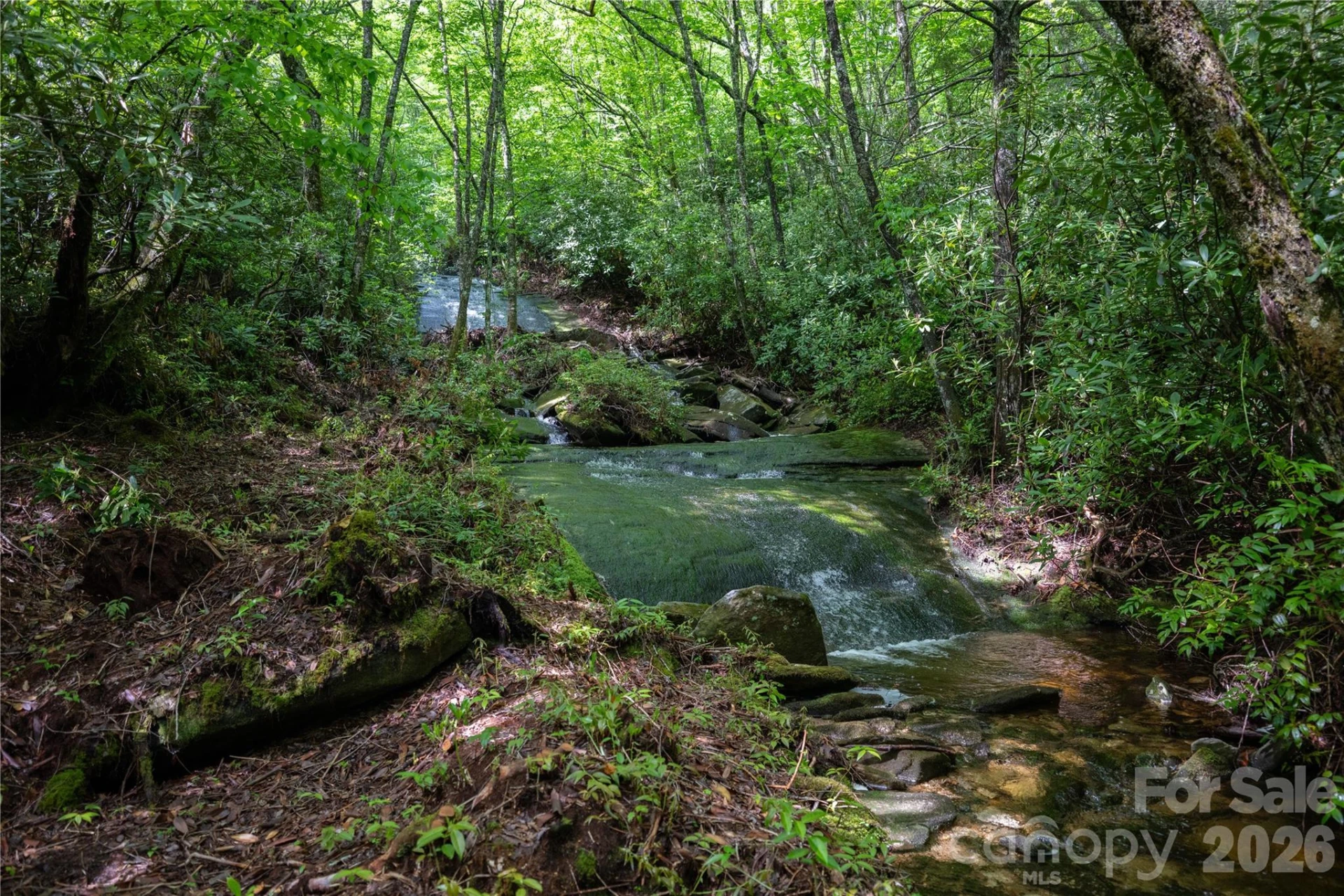 River Camp Long Ridge Road - Photo 23
