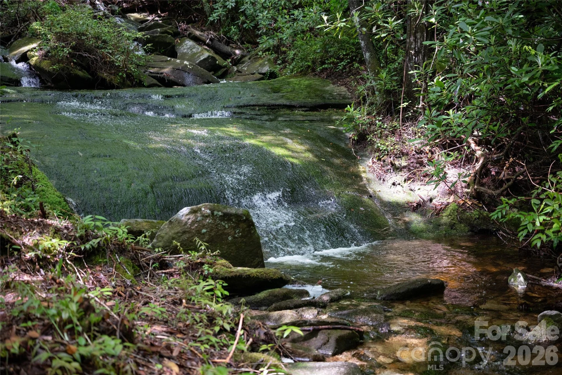 River Camp Long Ridge Road - Photo 24