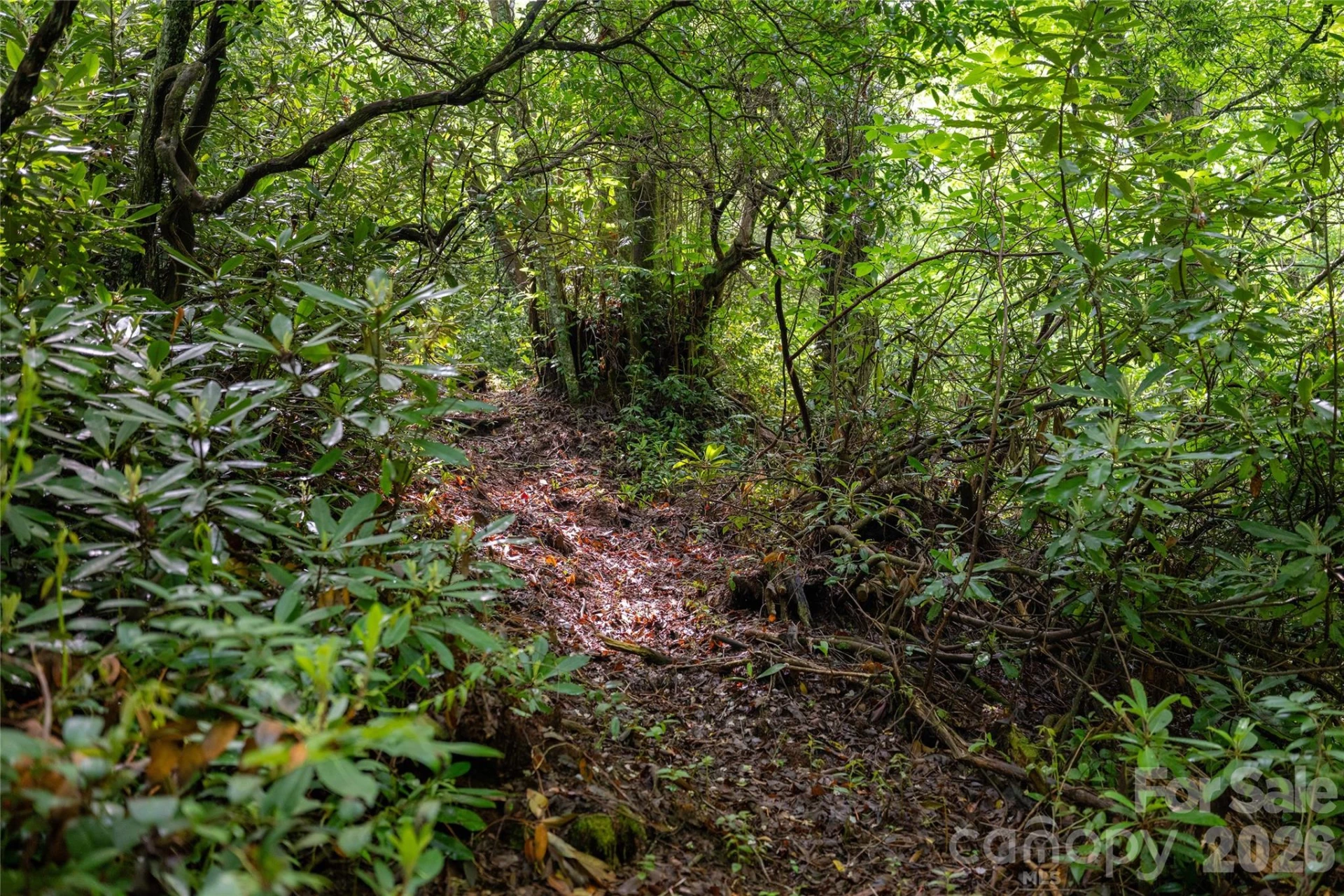 River Camp Long Ridge Road - Photo 25