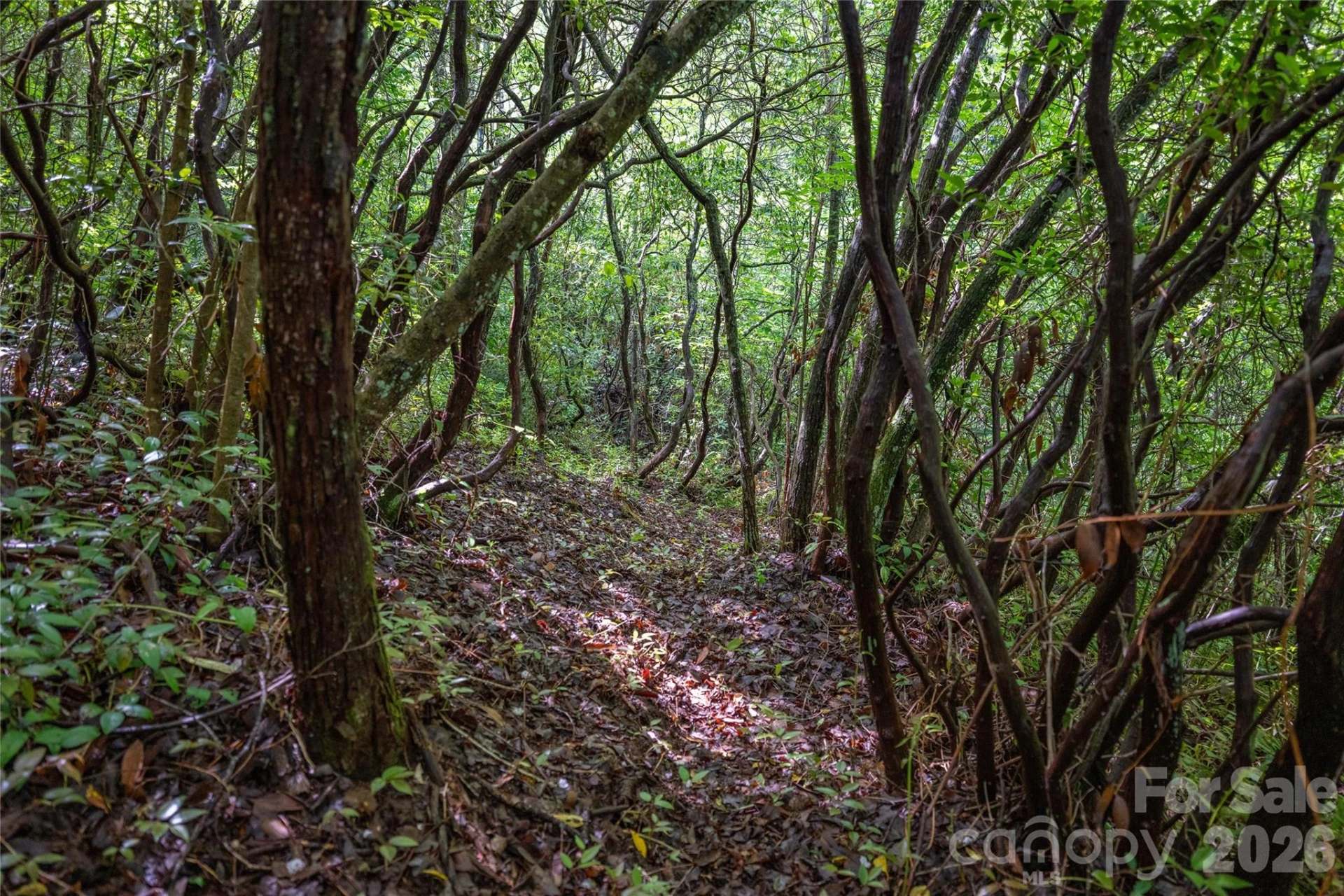 River Camp Long Ridge Road - Photo 26