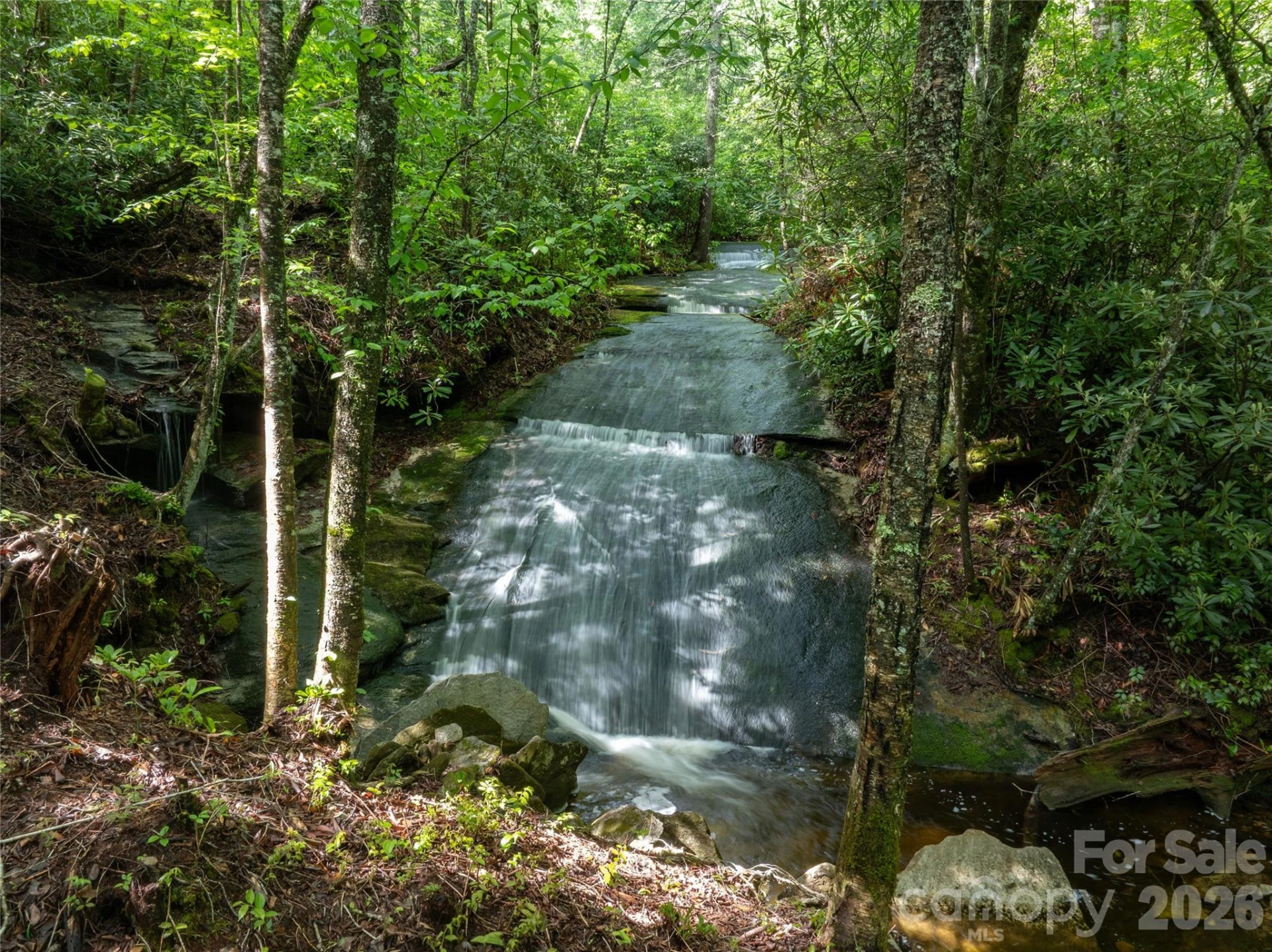 River Camp Long Ridge Road - Photo 27