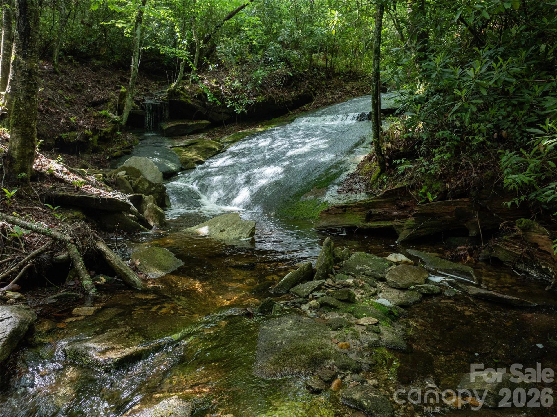 River Camp Long Ridge Road - Photo 28