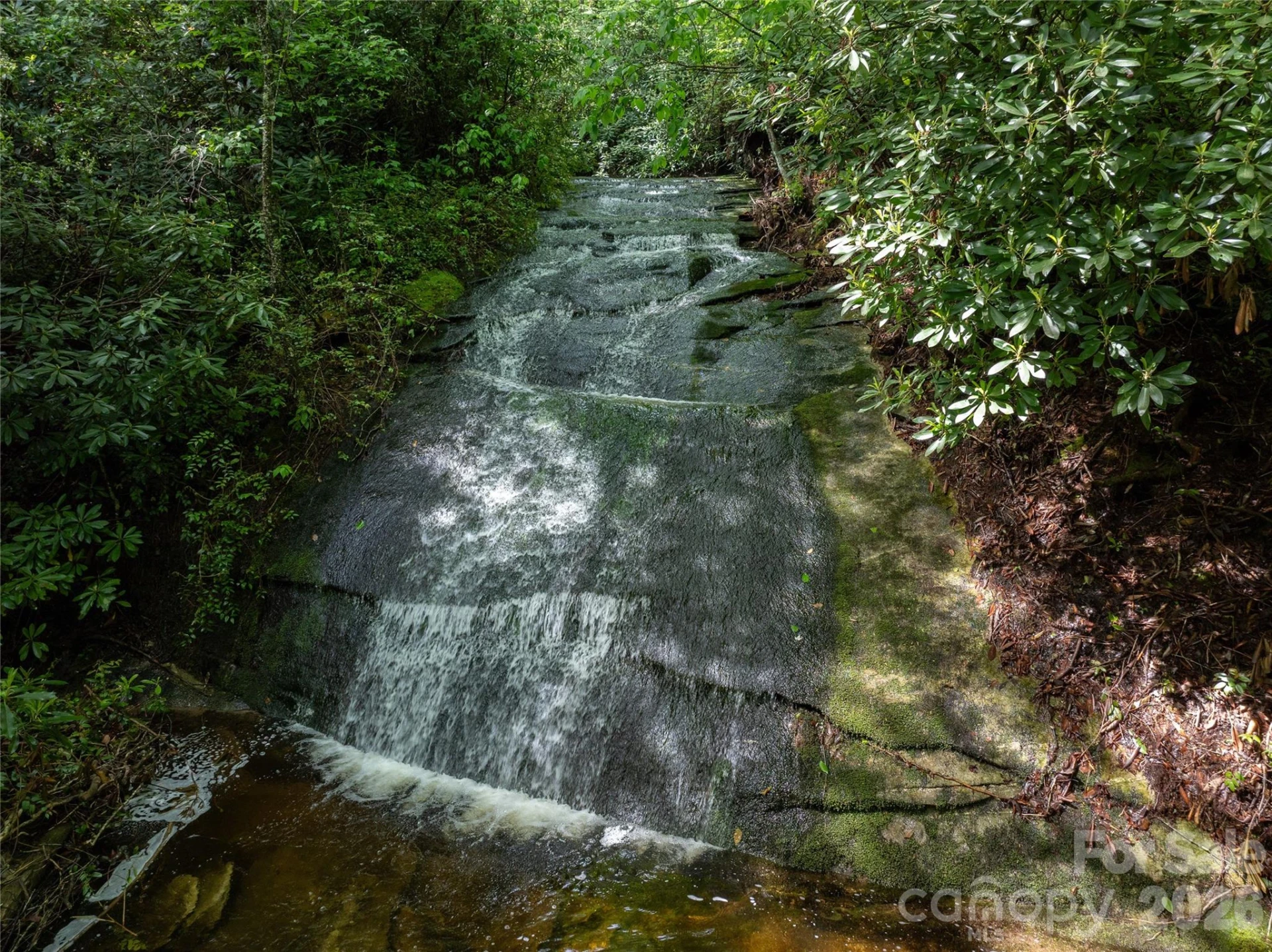 River Camp Long Ridge Road - Photo 29