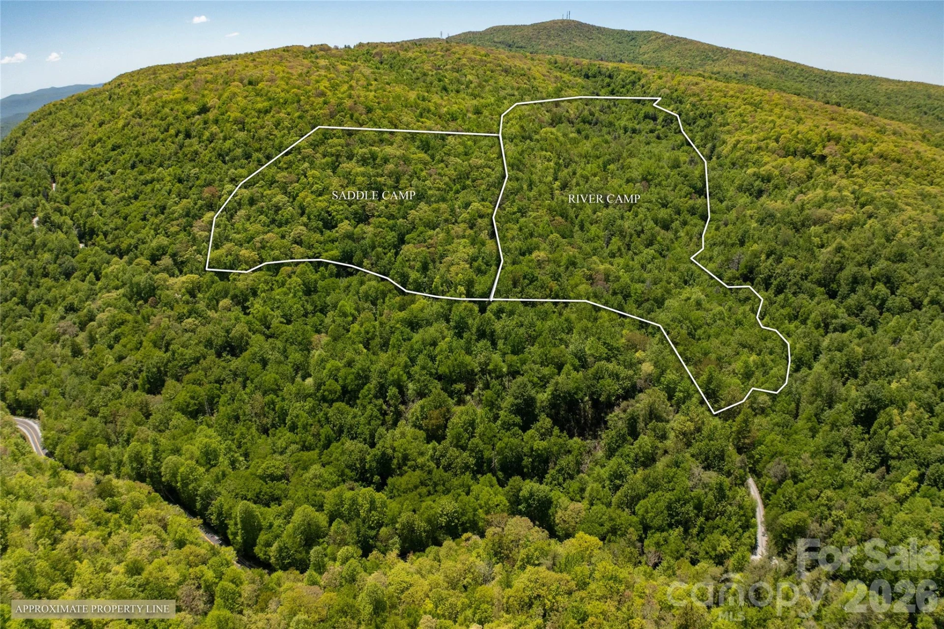 River Camp Long Ridge Road - Photo 30