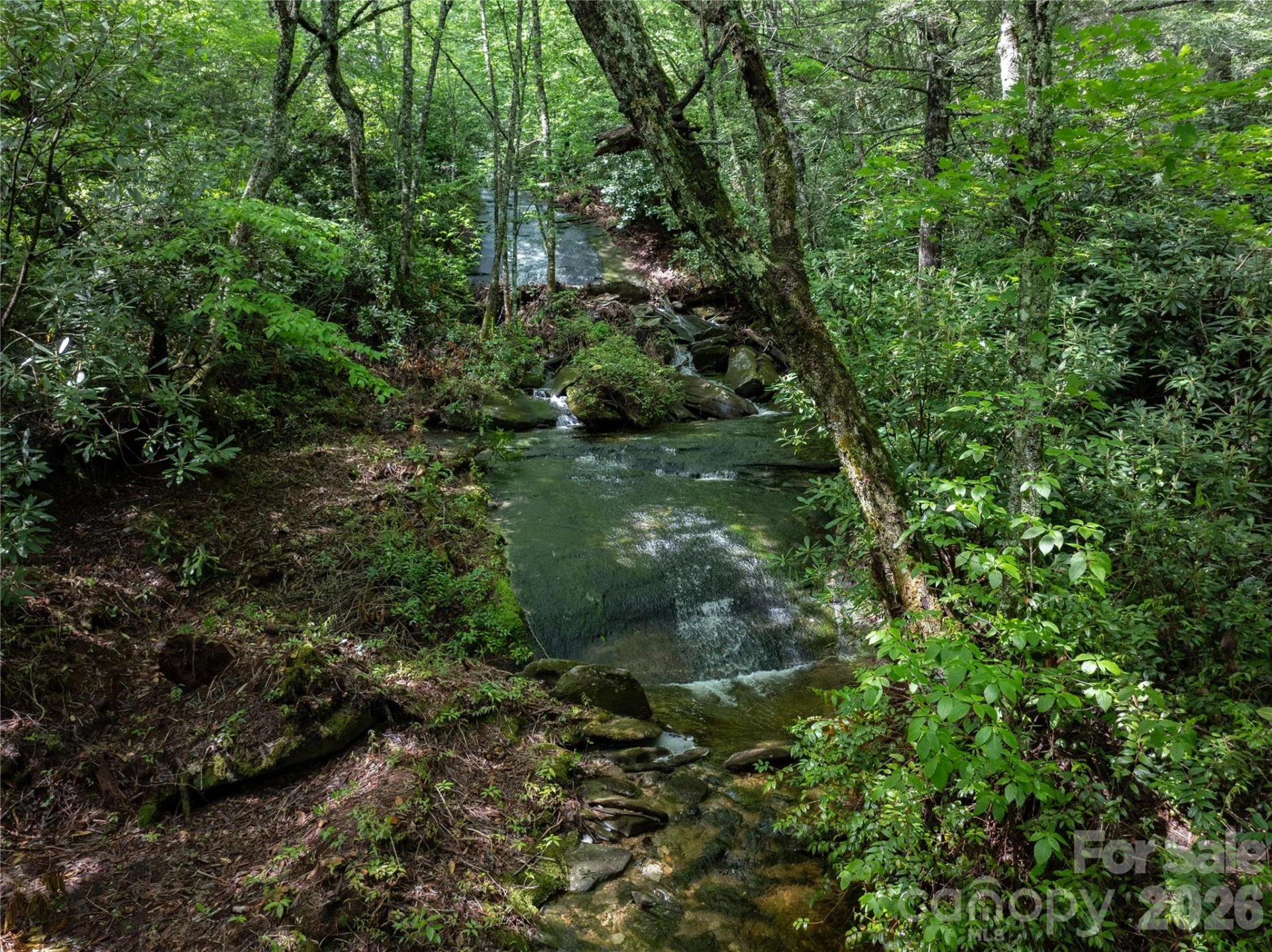 River Camp Long Ridge Road - Photo 31