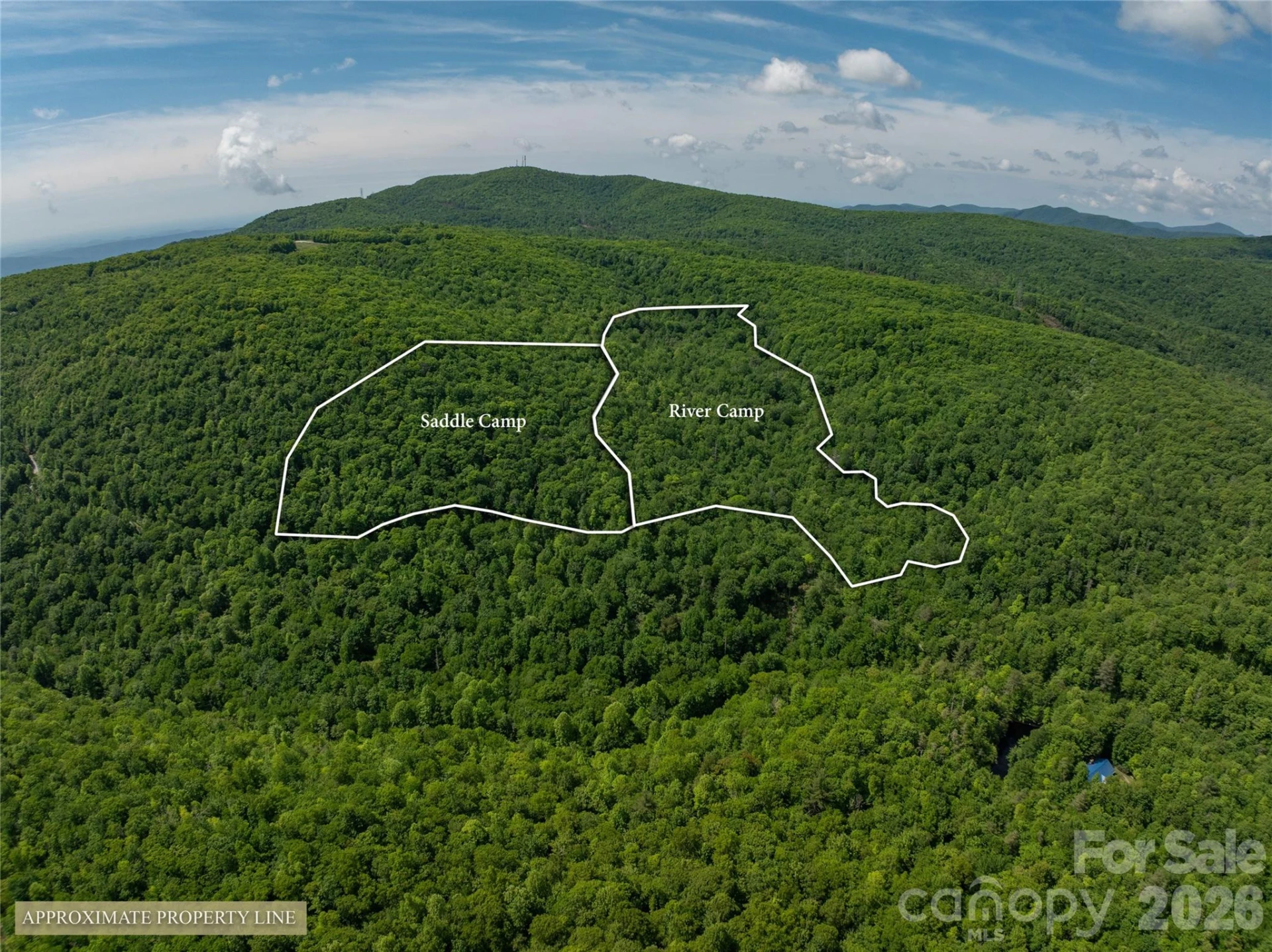 River Camp Long Ridge Road - Photo 32