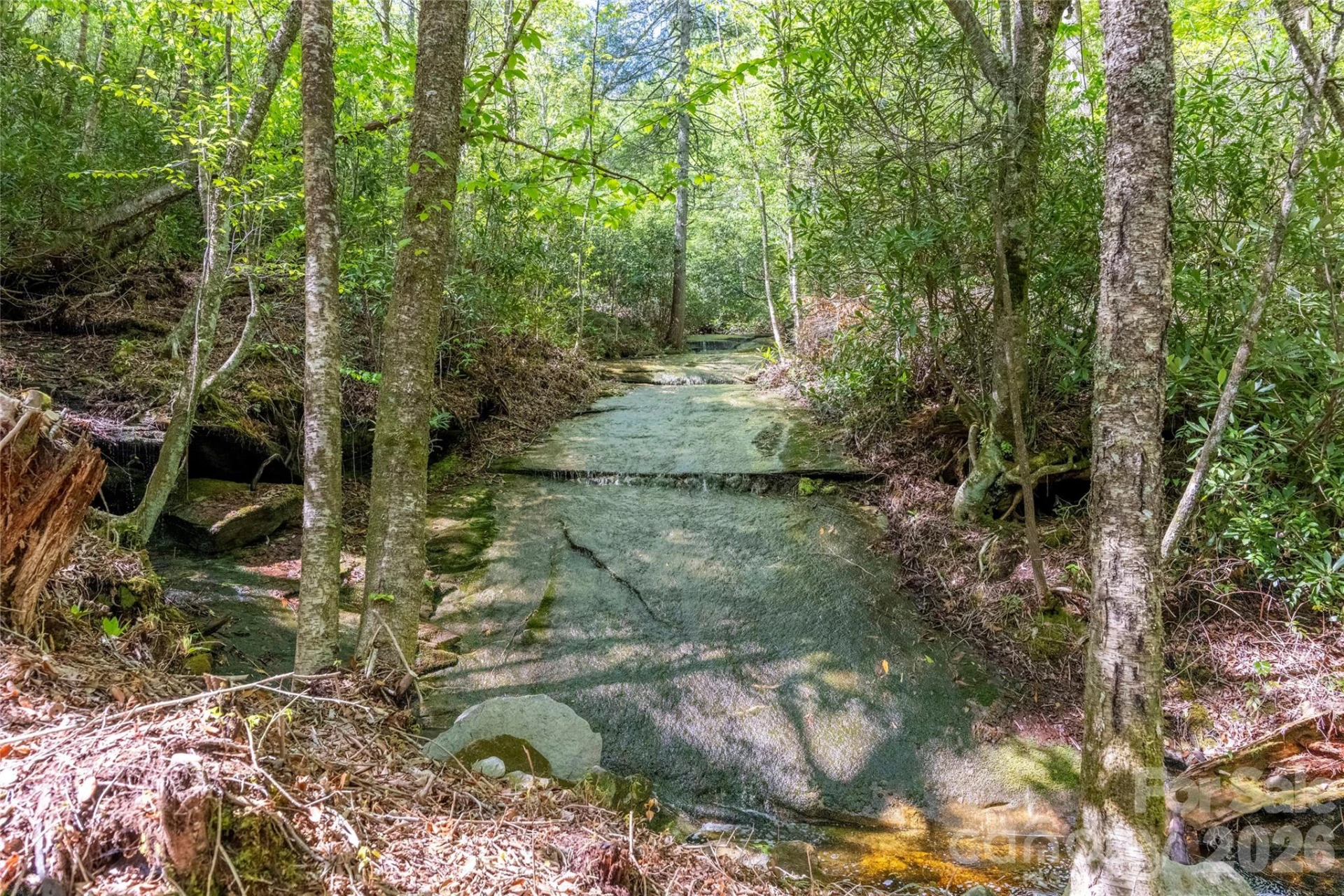 River Camp Long Ridge Road - Photo 5