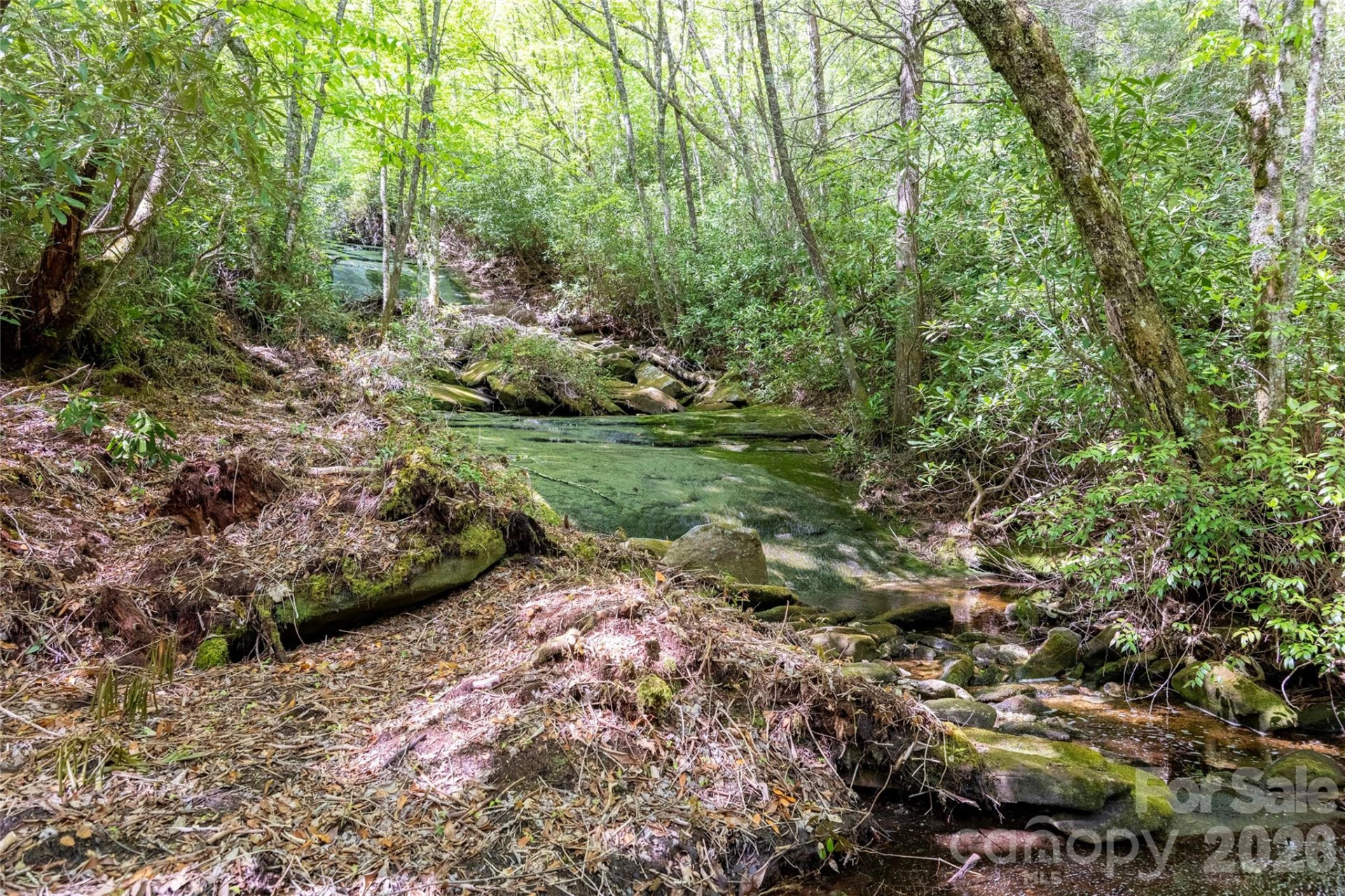 River Camp Long Ridge Road - Photo 7