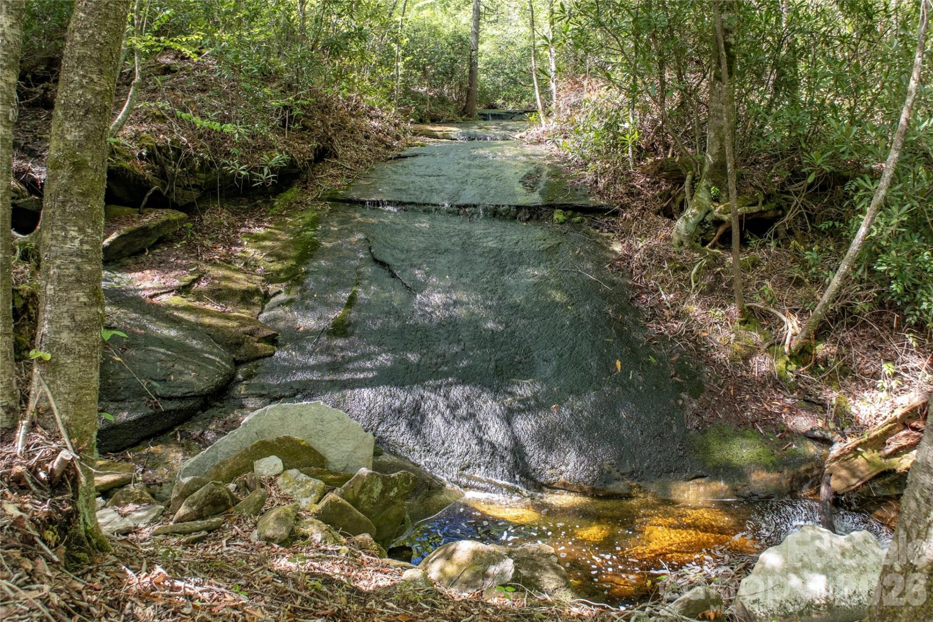 River Camp Long Ridge Road - Photo 9