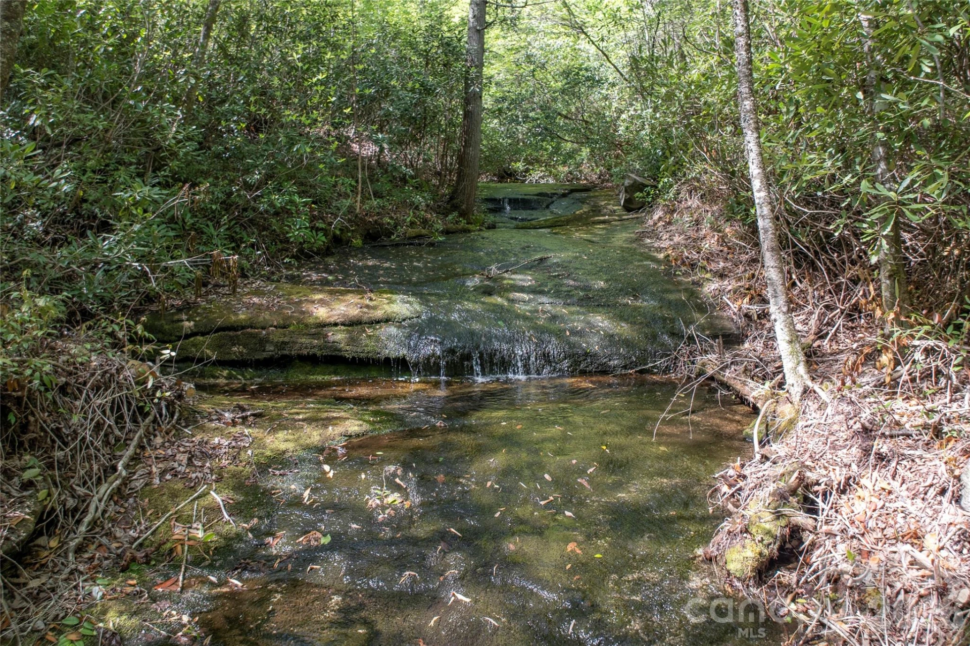 River Camp Long Ridge Road - Photo 10