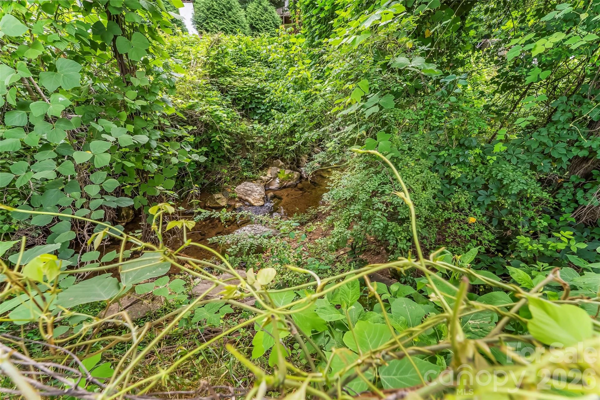 194 Virginia Drive - Photo 25