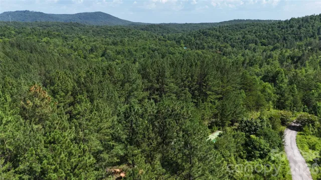 590 Gold Creek Point, Union Mills, NC, 28167