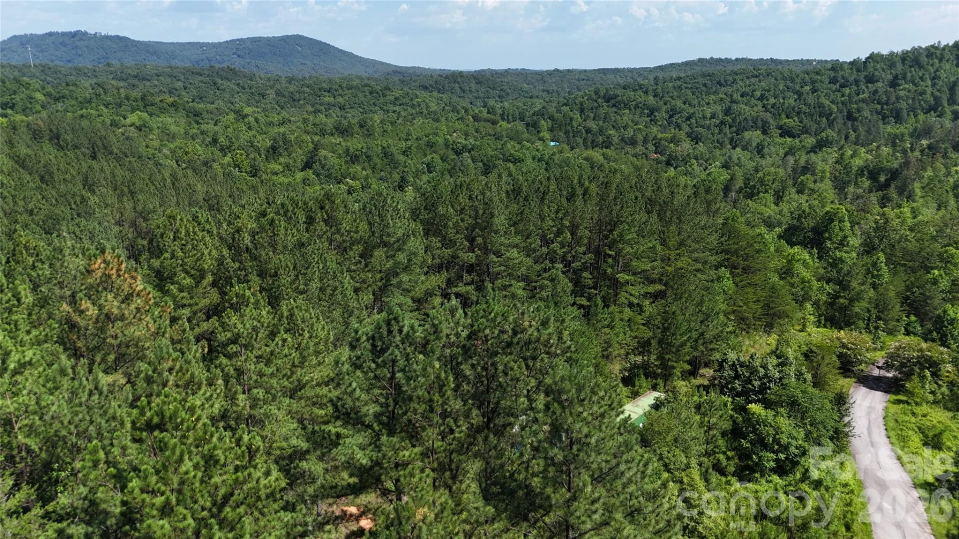 590 Gold Creek Point
