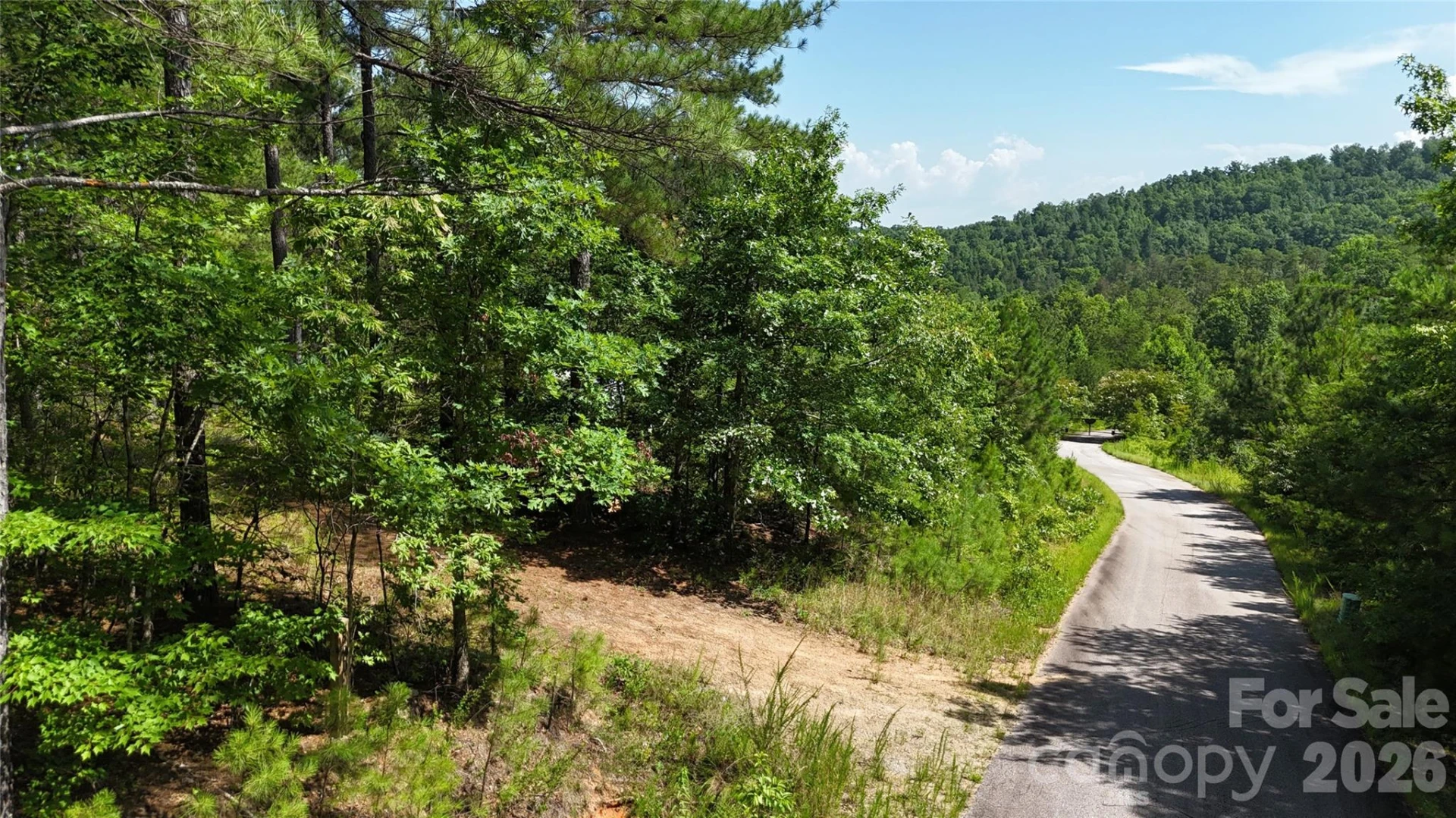 590 Gold Creek Point - Photo 11