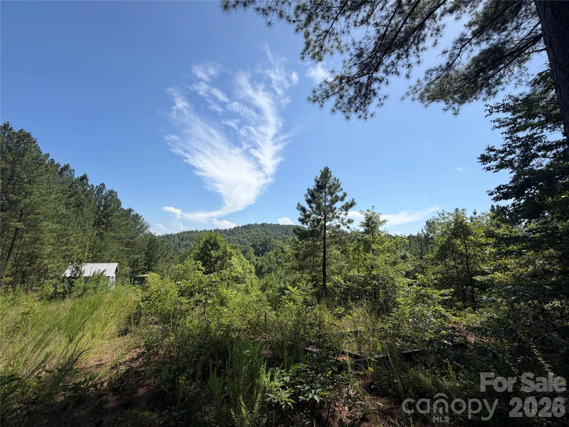 590 Gold Creek Point - Photo 3