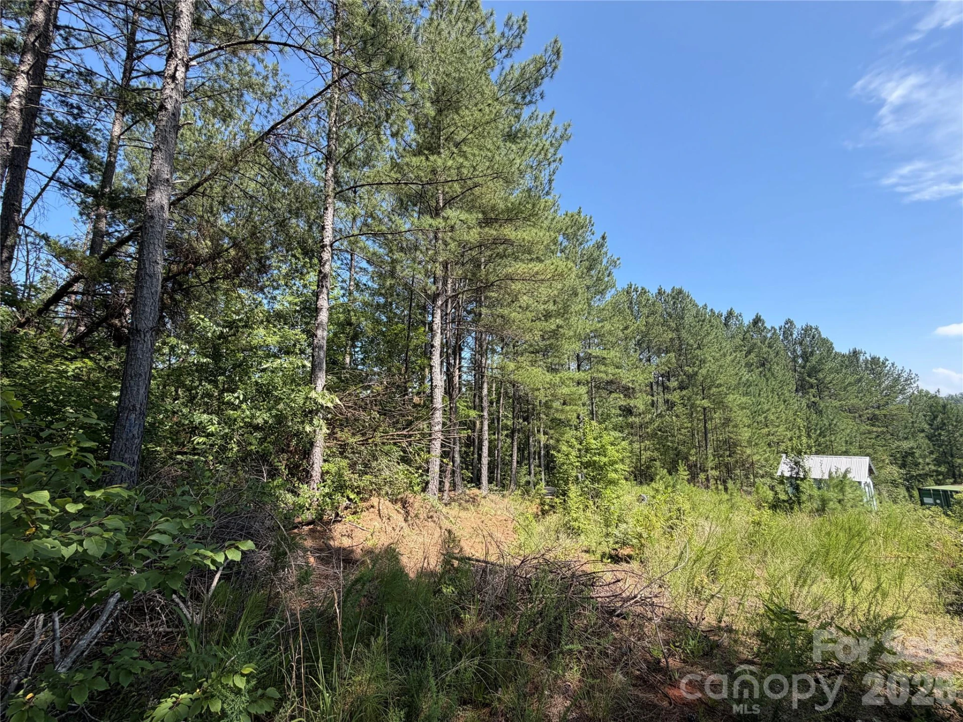 590 Gold Creek Point - Photo 5