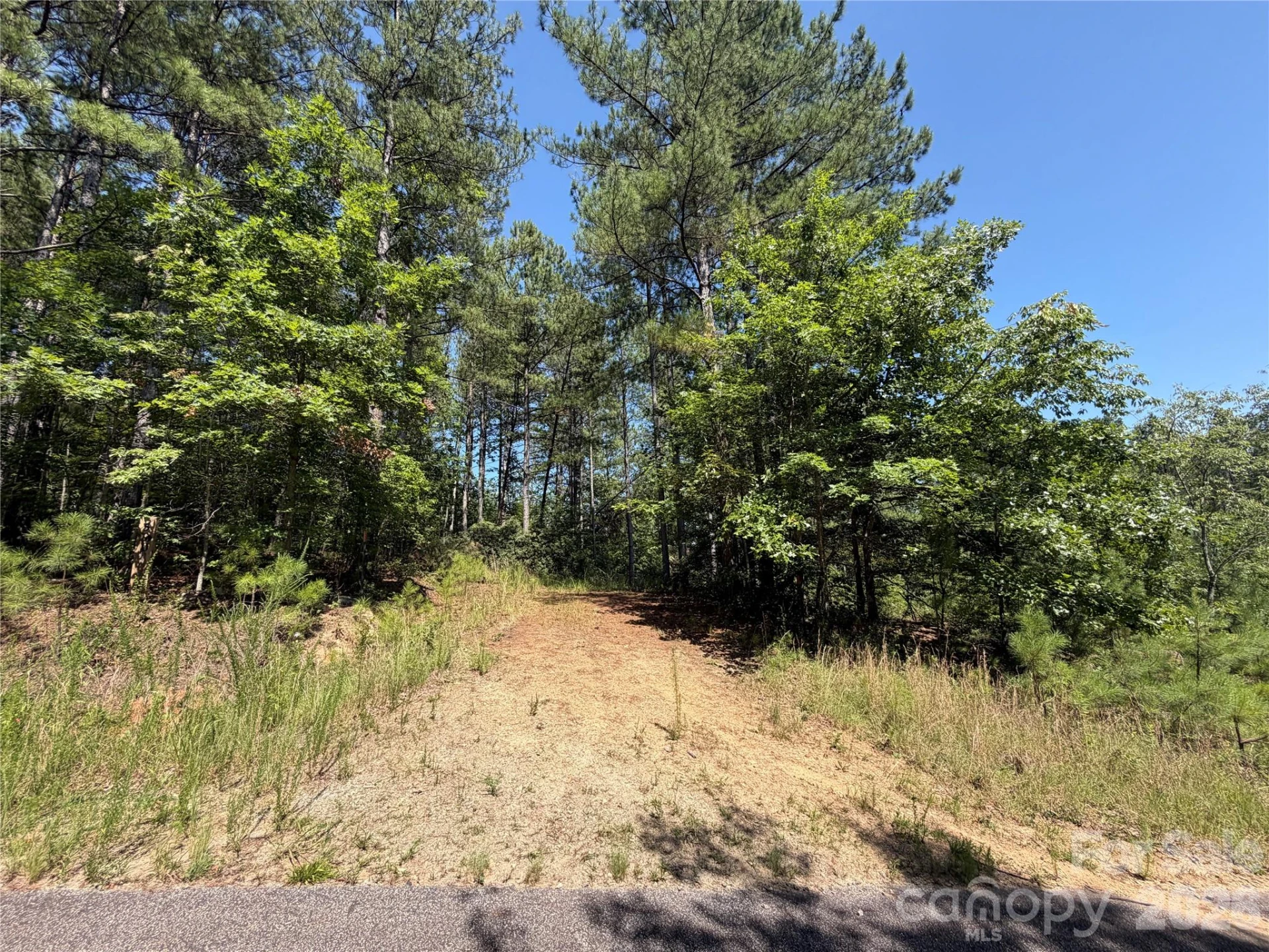 590 Gold Creek Point - Photo 6