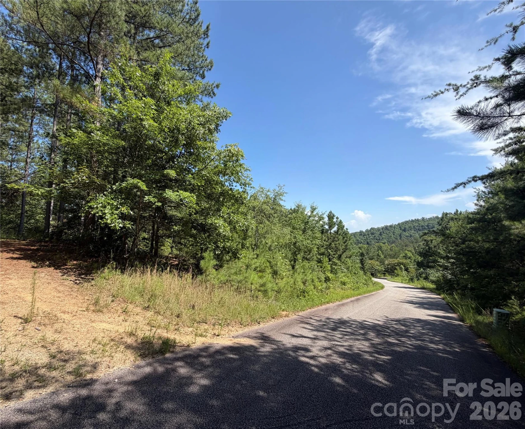 590 Gold Creek Point - Photo 7
