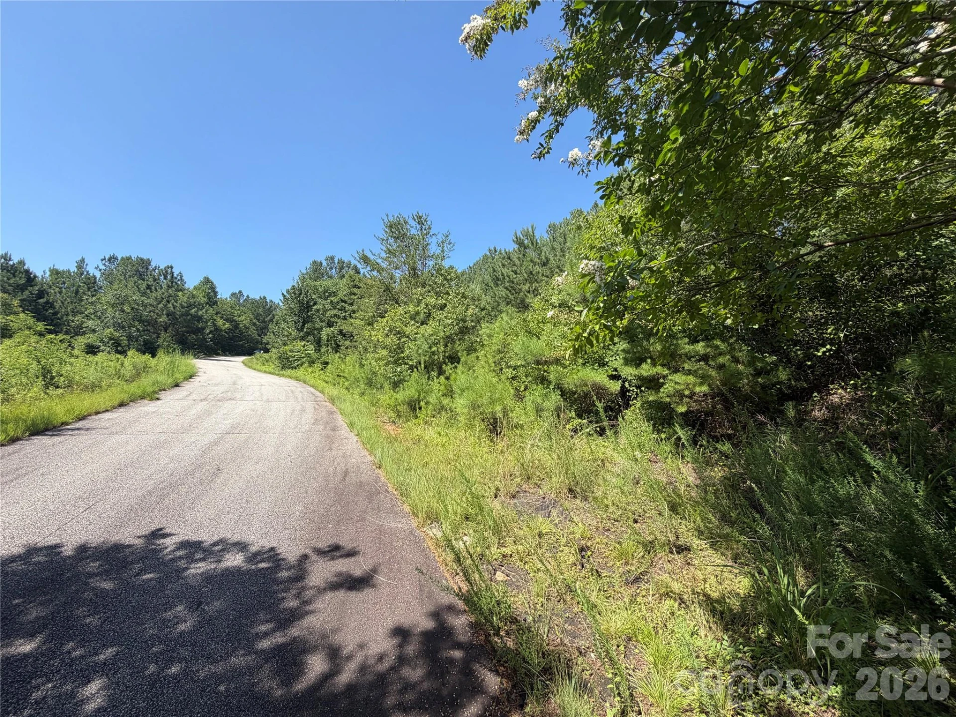 590 Gold Creek Point - Photo 8