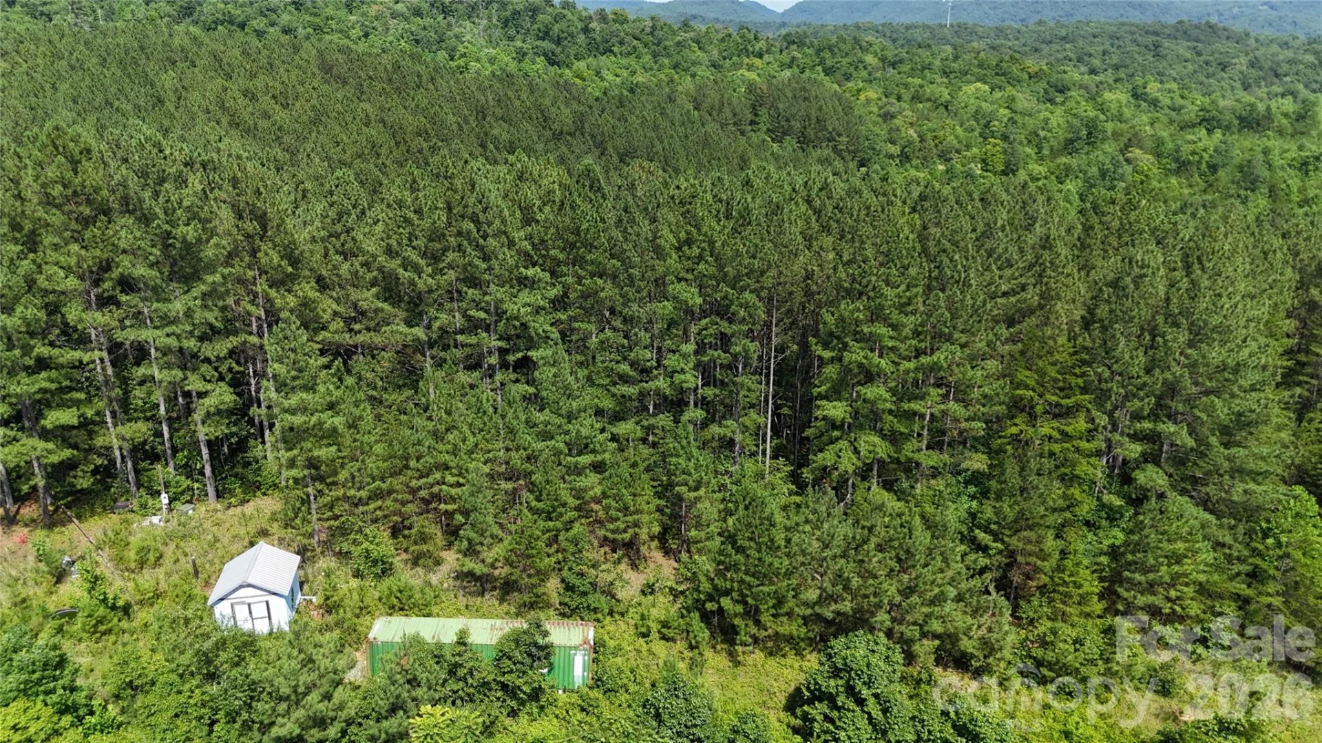 590 Gold Creek Point - Photo 10