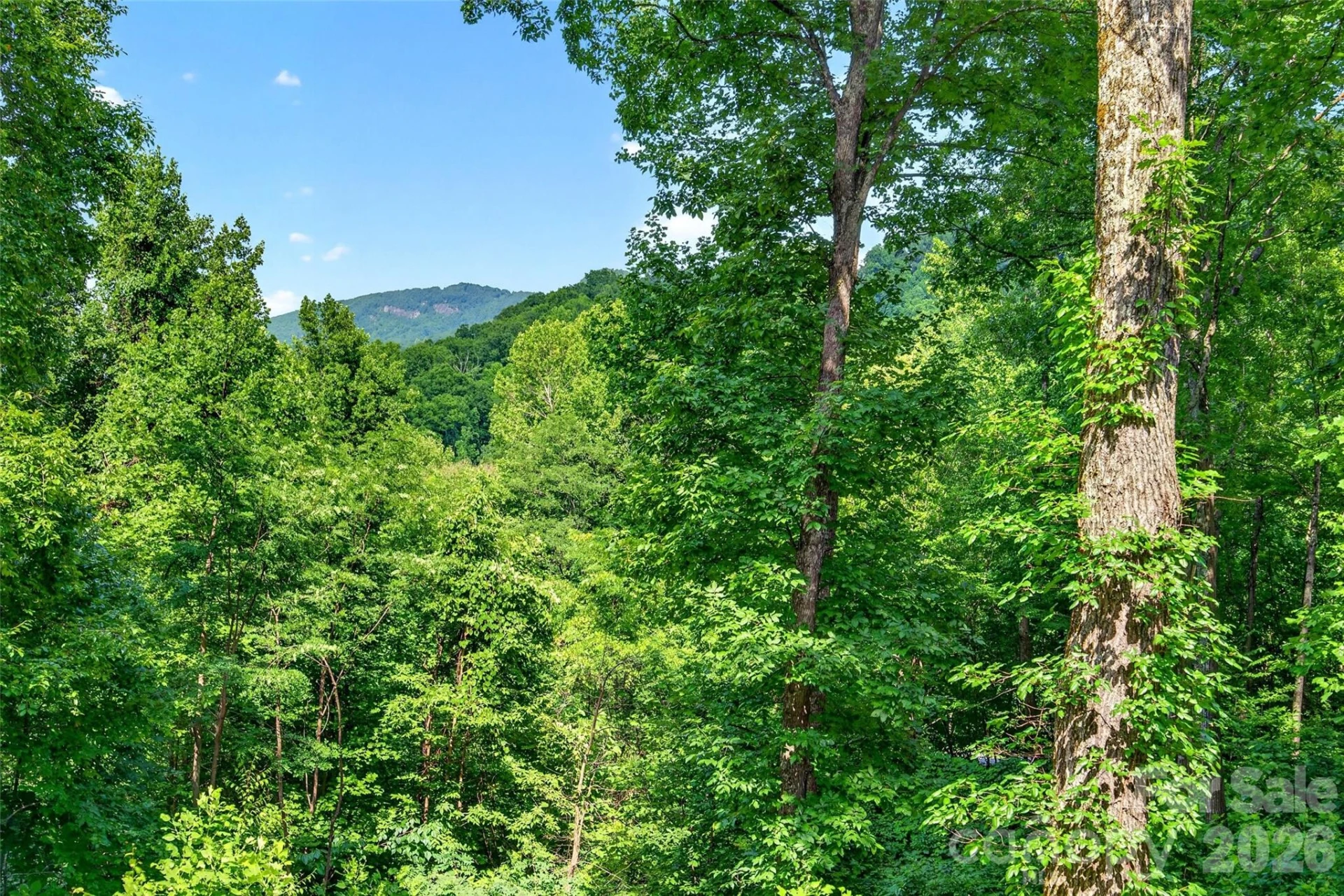 771 Sally Gap Road - Photo 14