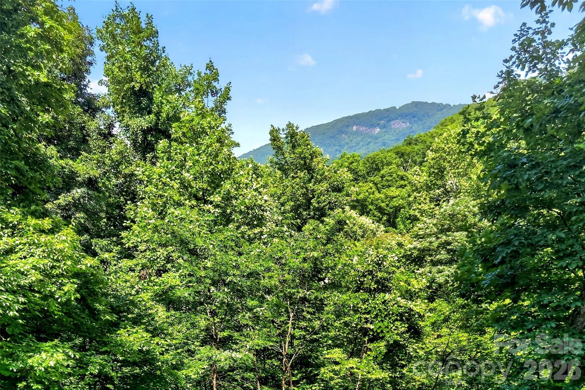 771 Sally Gap Road - Photo 15