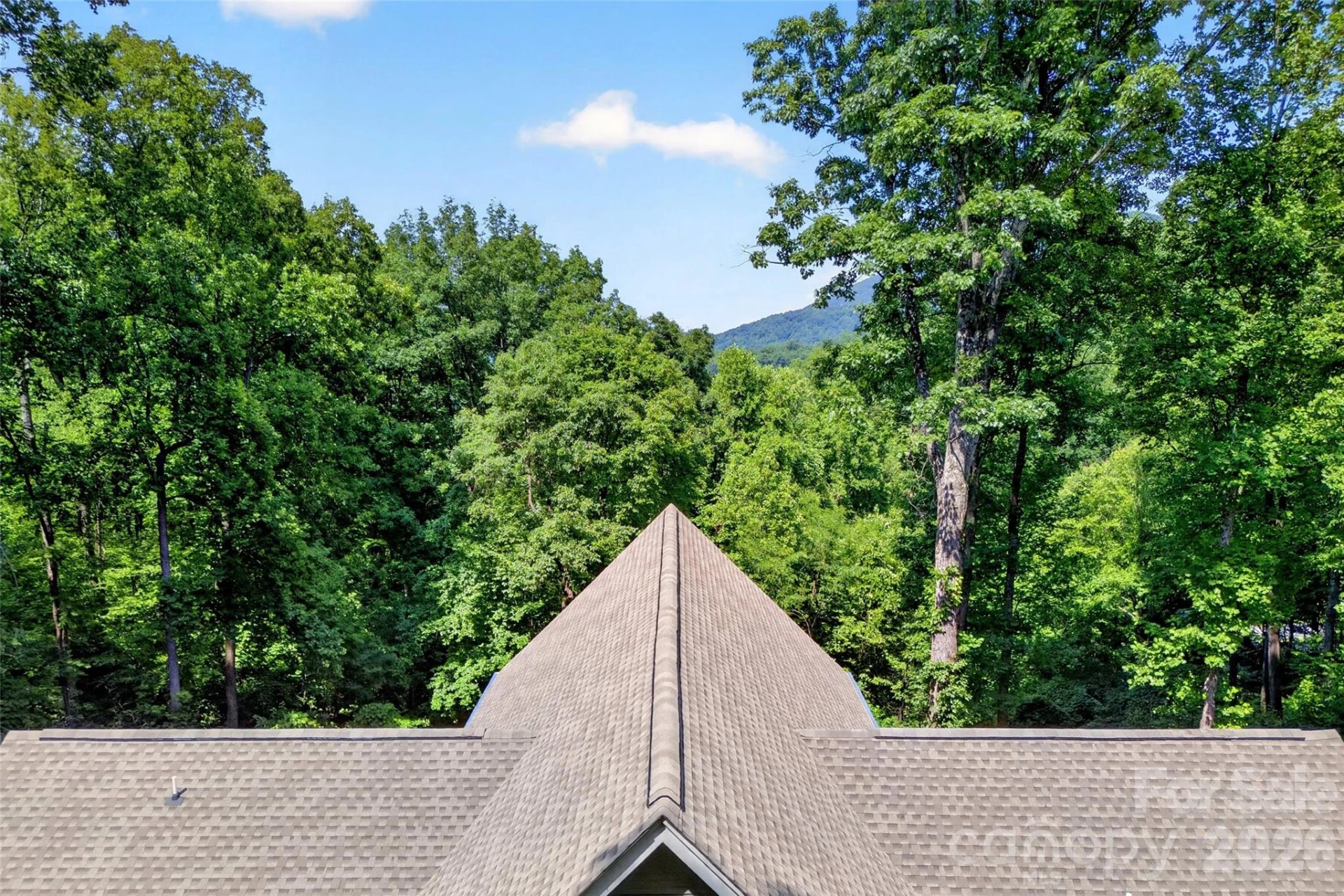 771 Sally Gap Road - Photo 48