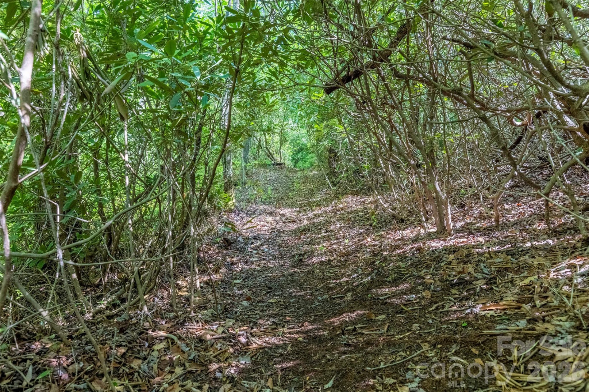 TBD Long Ridge Road - Photo 2