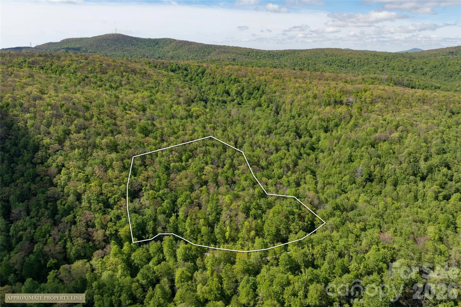 TBD Long Ridge Road - Photo 11