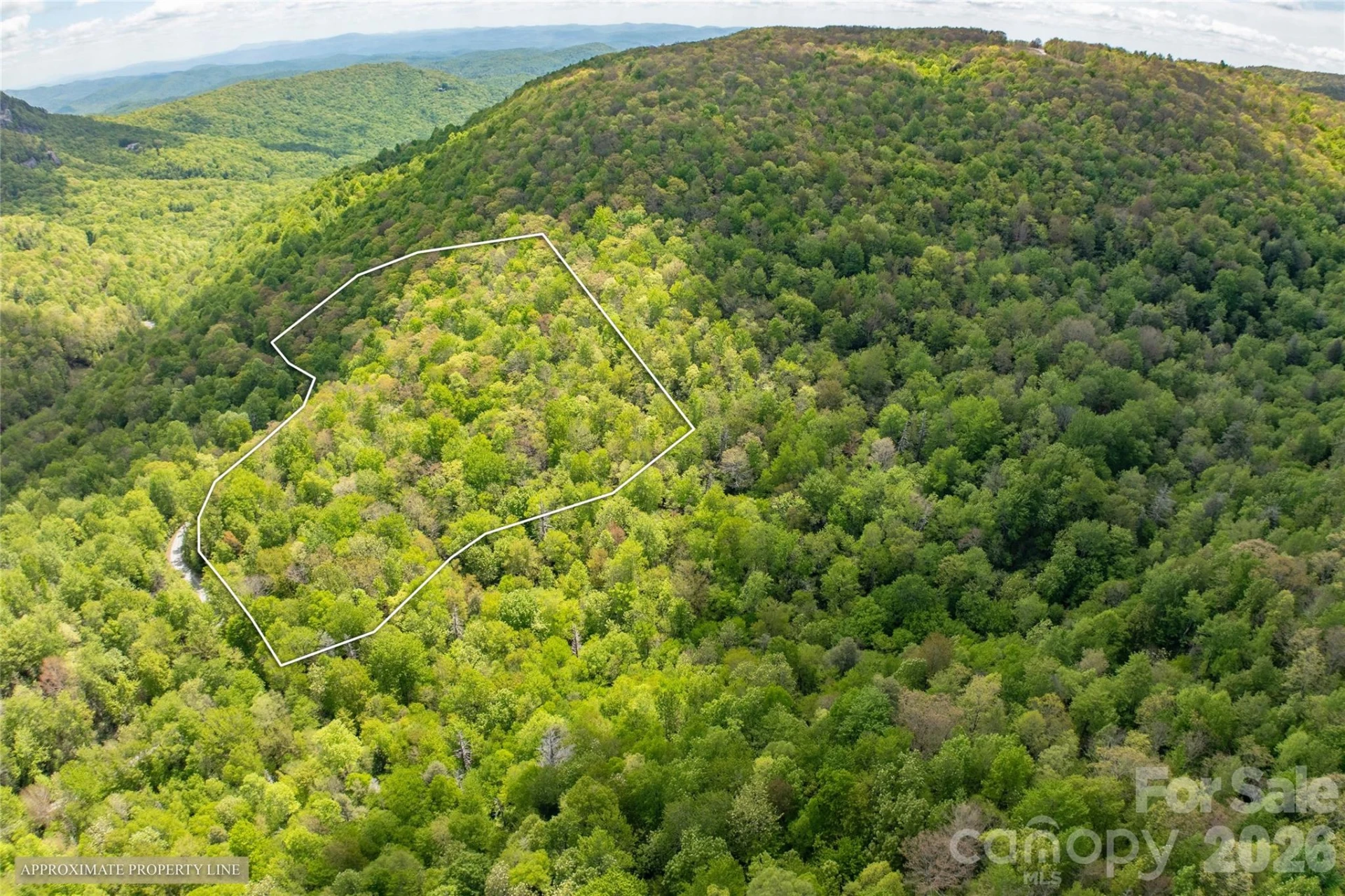 TBD Long Ridge Road - Photo 12