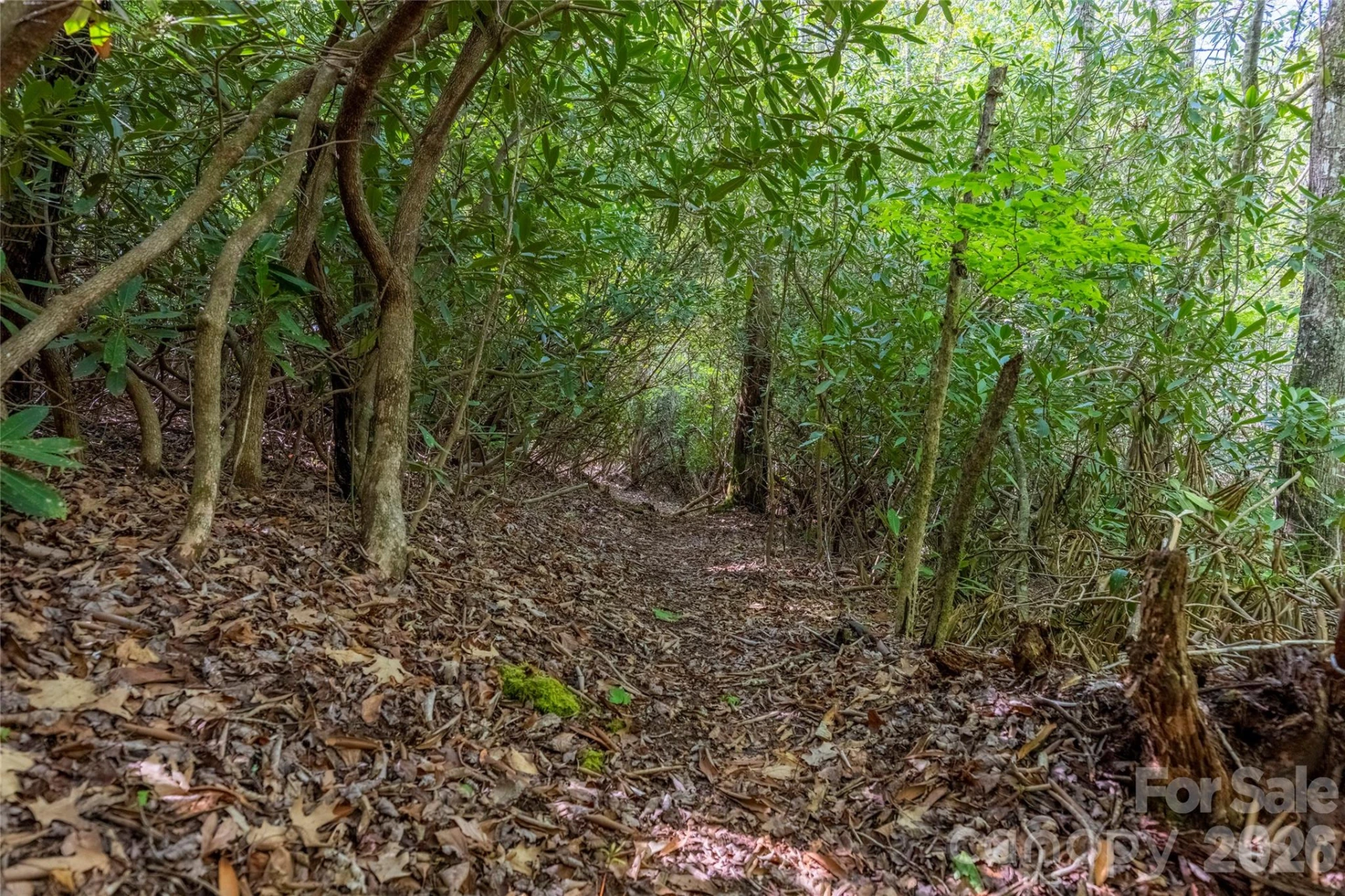 TBD Long Ridge Road - Photo 3