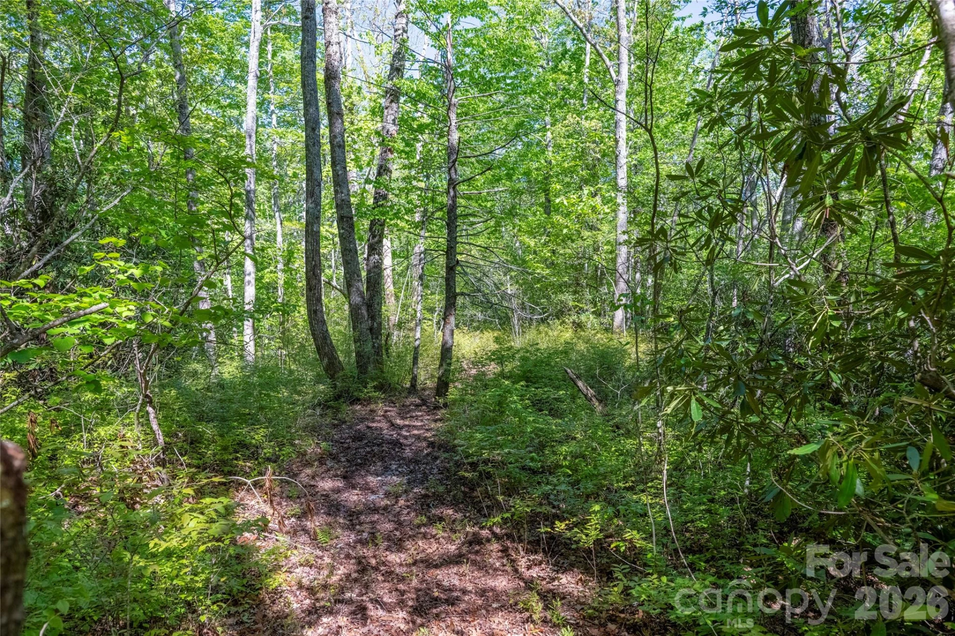 TBD Long Ridge Road - Photo 5