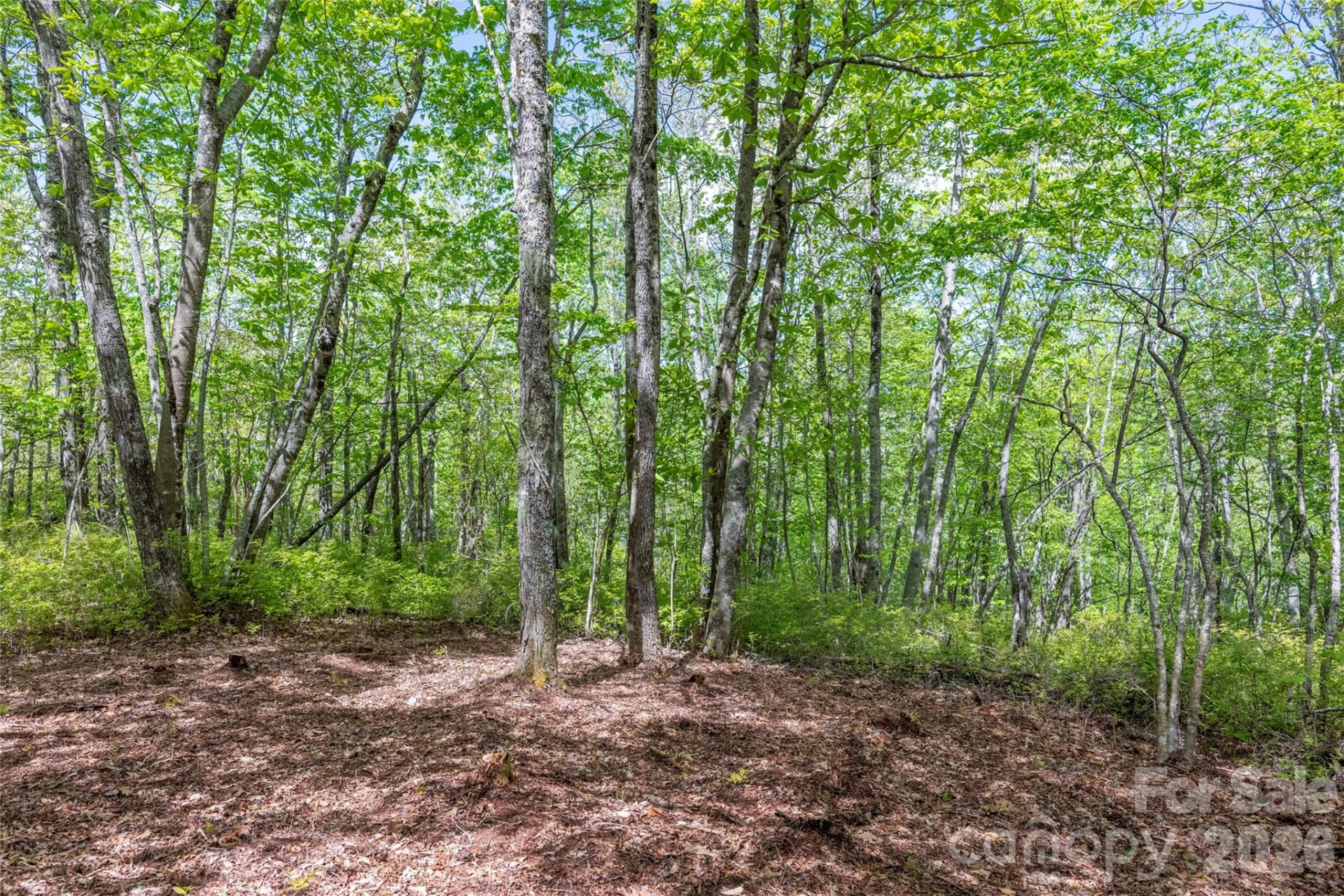 TBD Long Ridge Road - Photo 7