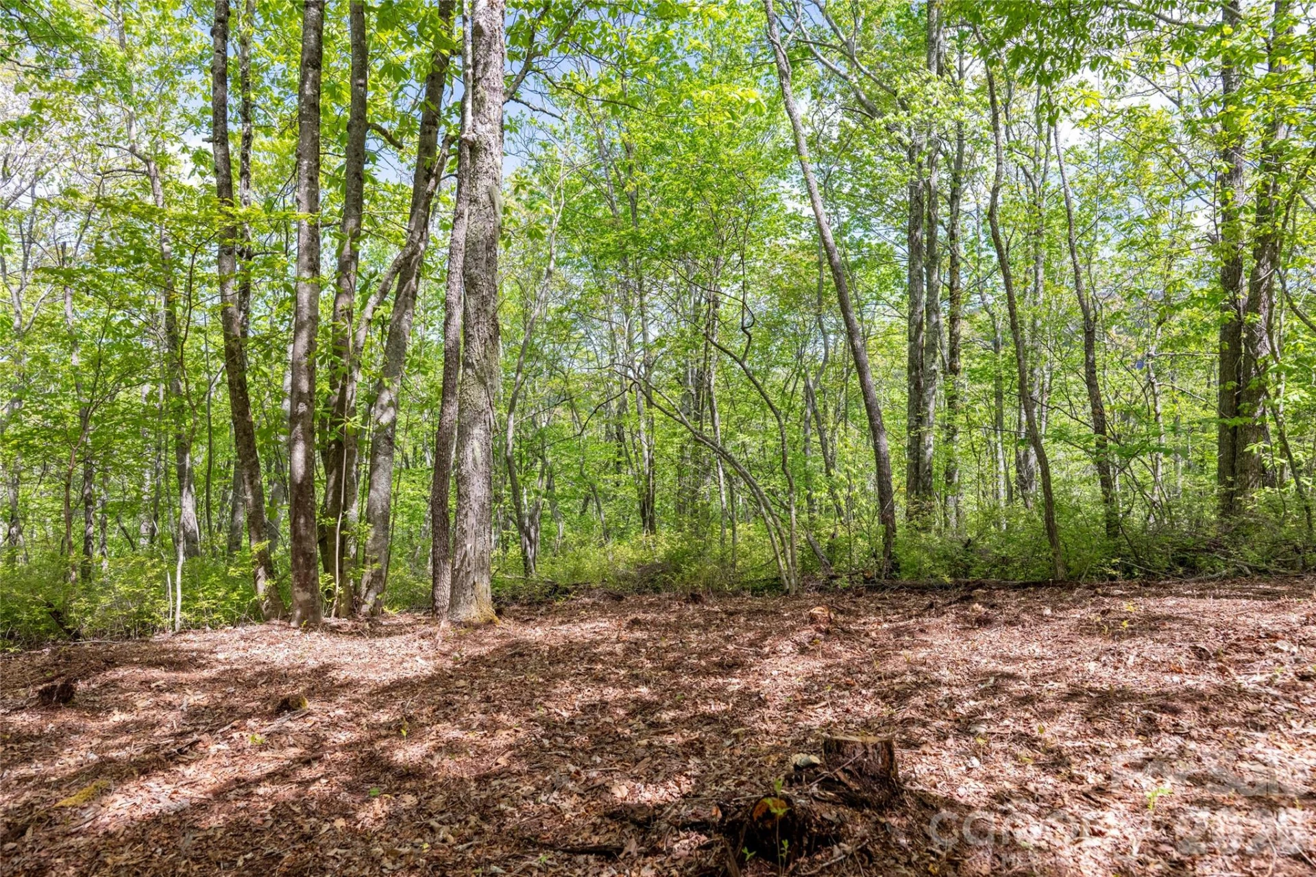 TBD Long Ridge Road - Photo 8