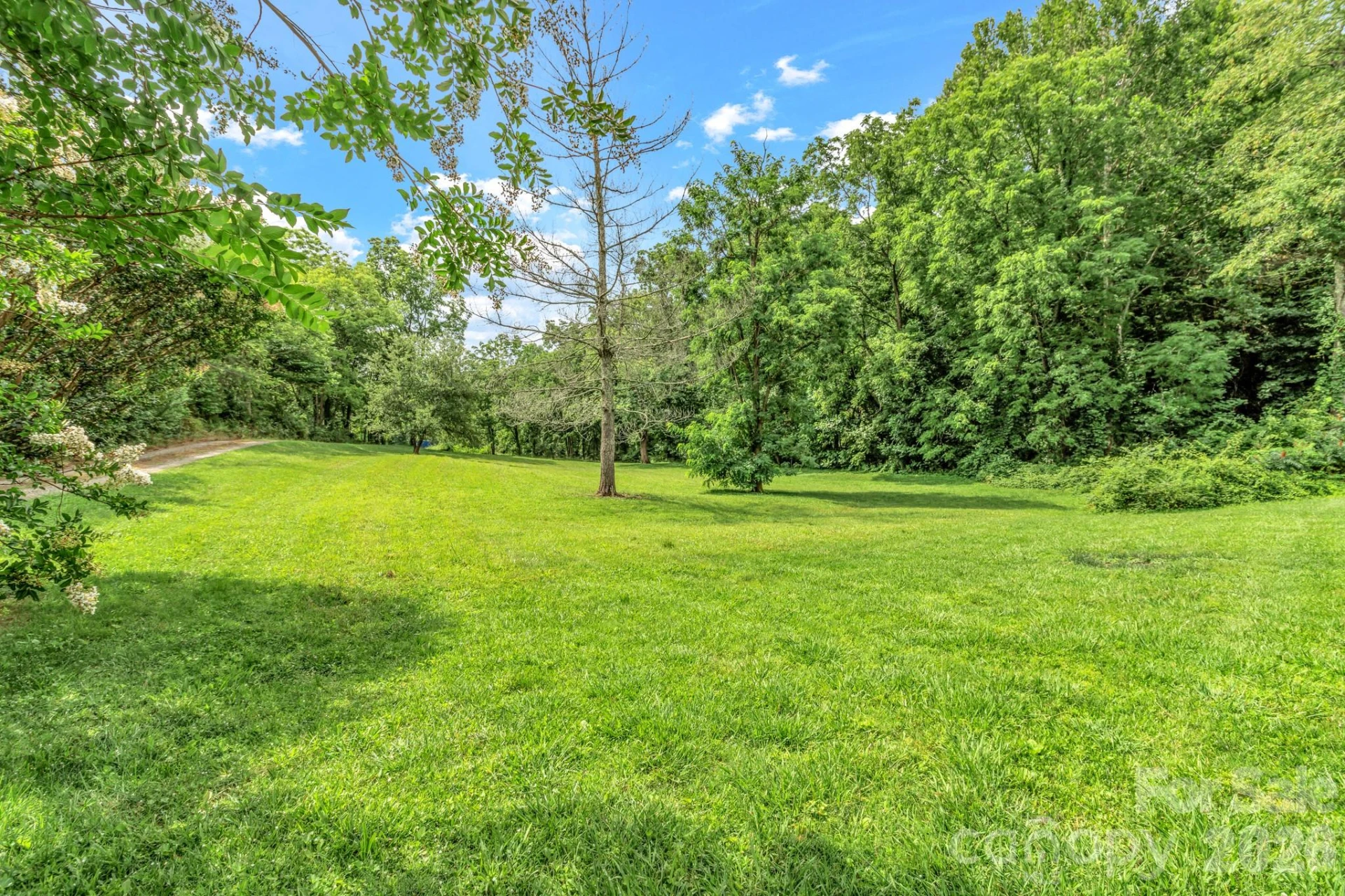 11 Aquarian Way - Photo 4