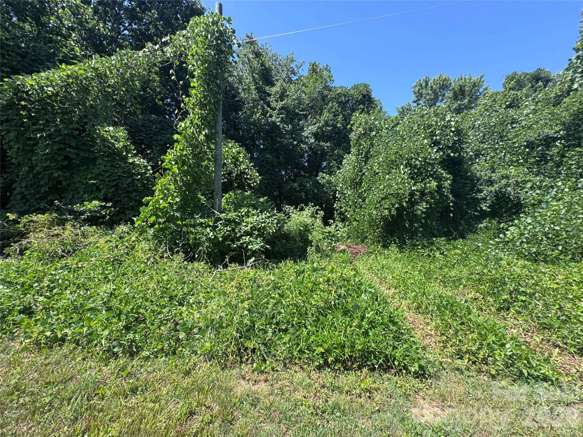 000 Miller Avenue - Photo 7