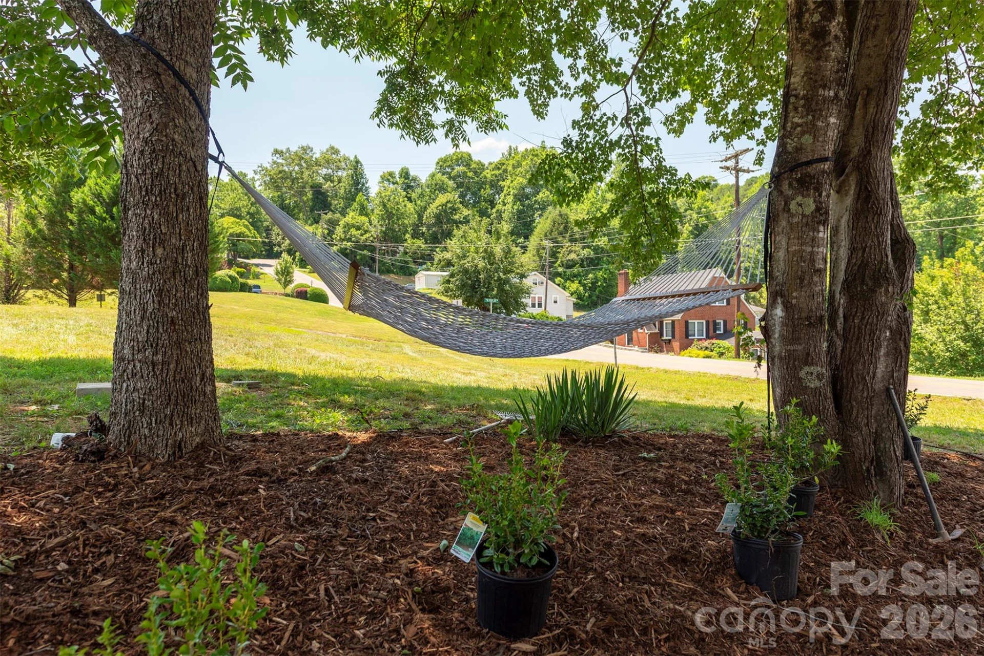 65 Walnut Street - Photo 37