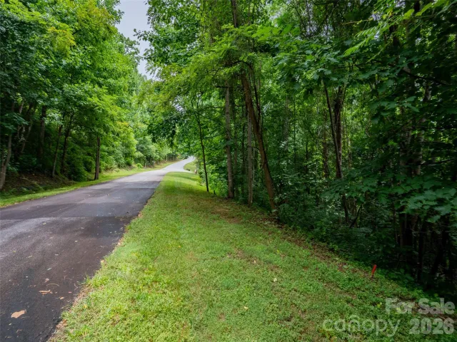 236 Nottingham Drive, Mill Spring, NC, 28756